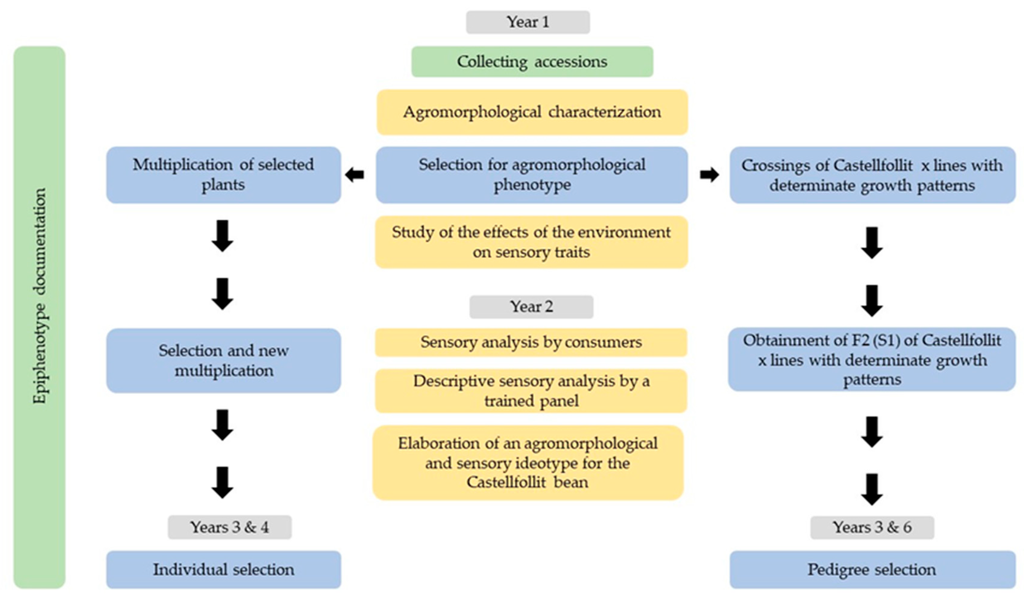 Agronomy 09 00889 g002 Agronomy 09 00889 g002