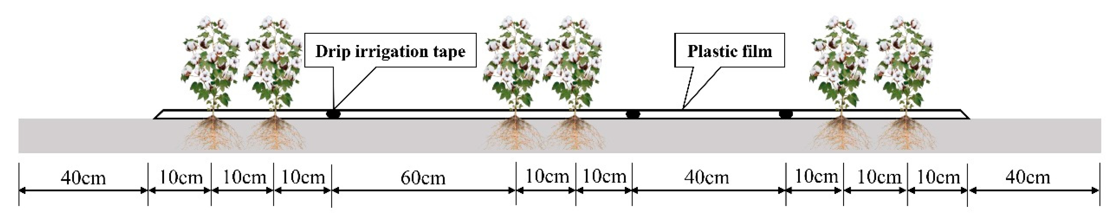 Agronomy 09 00894 g001
