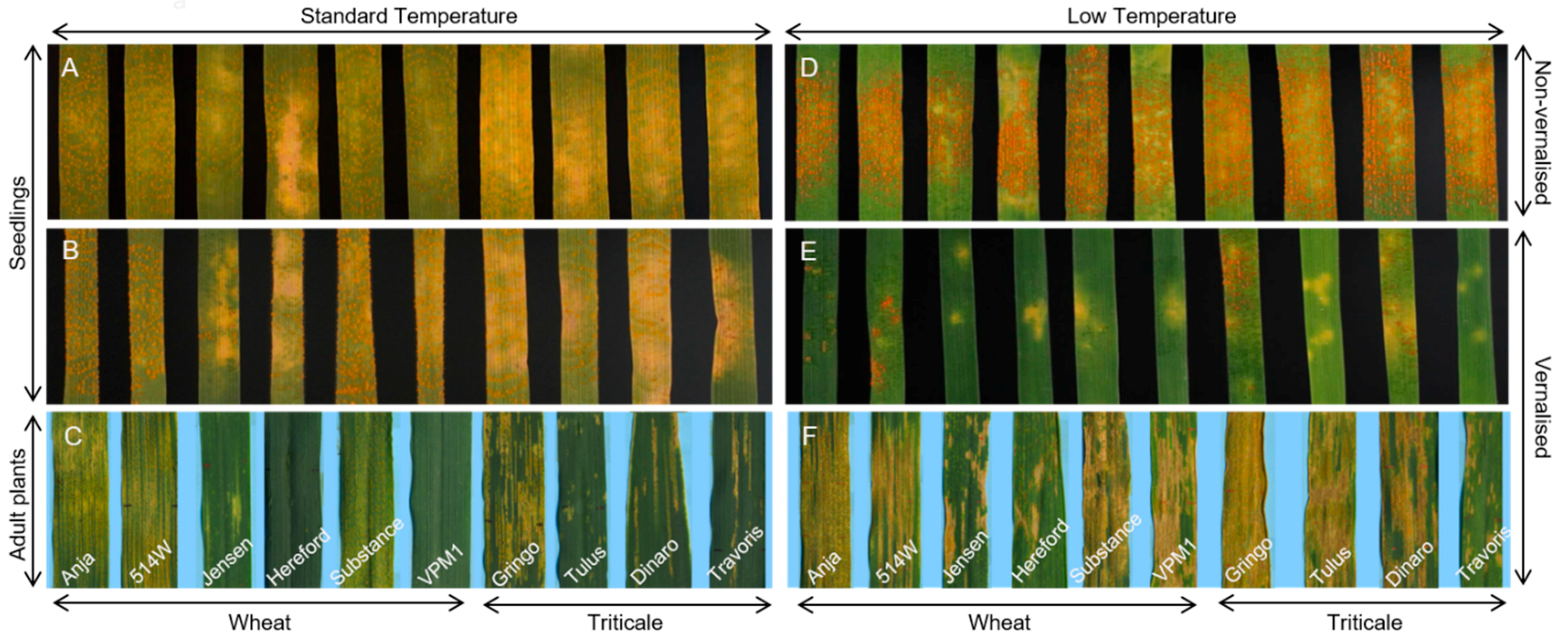 Agronomy 10 00013 g001