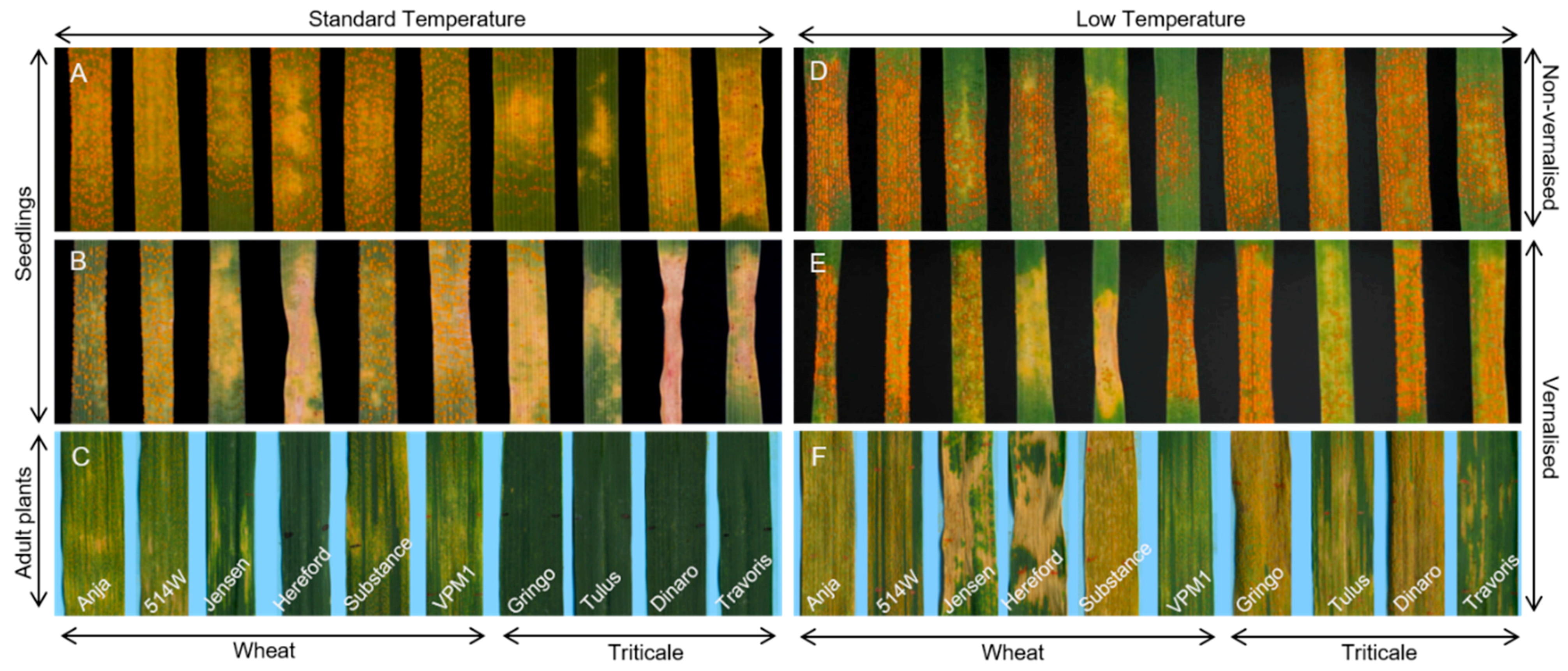 Agronomy 10 00013 g002