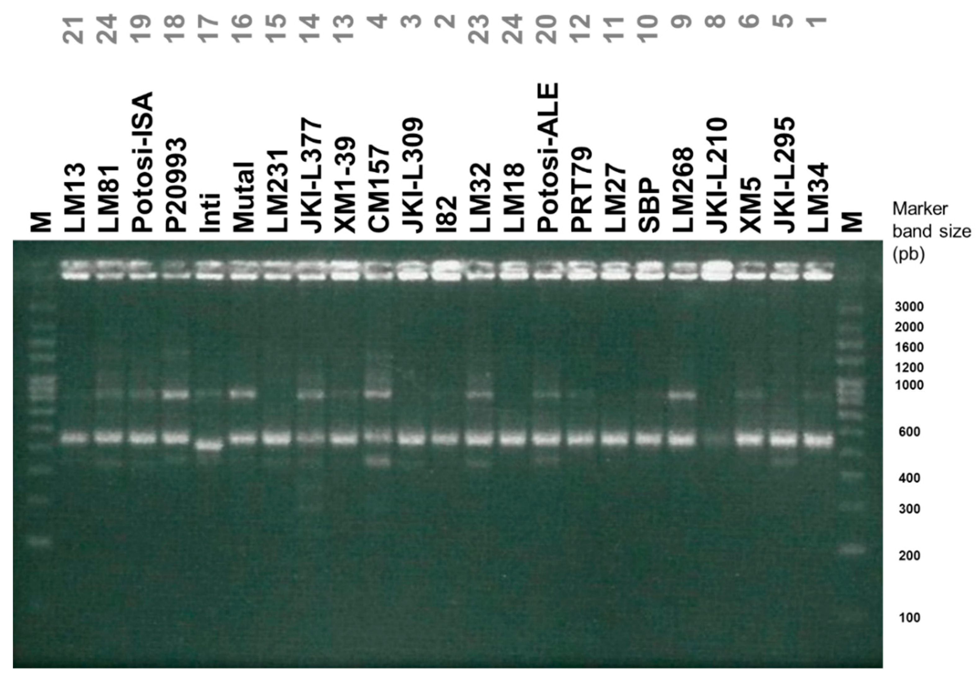 Agronomy 10 00021 g006 Agronomy 10 00021 g006