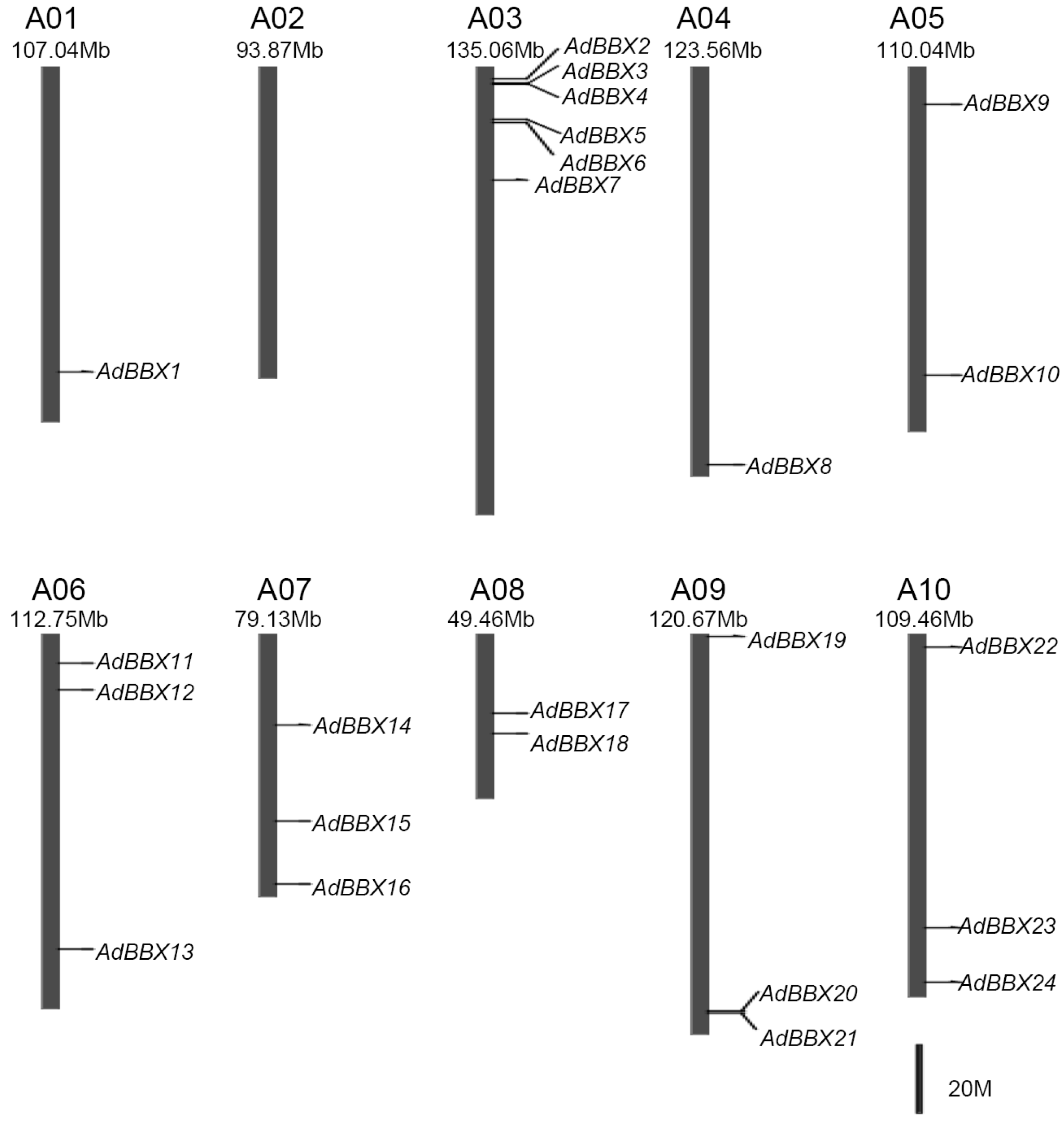 Agronomy 10 00023 g001