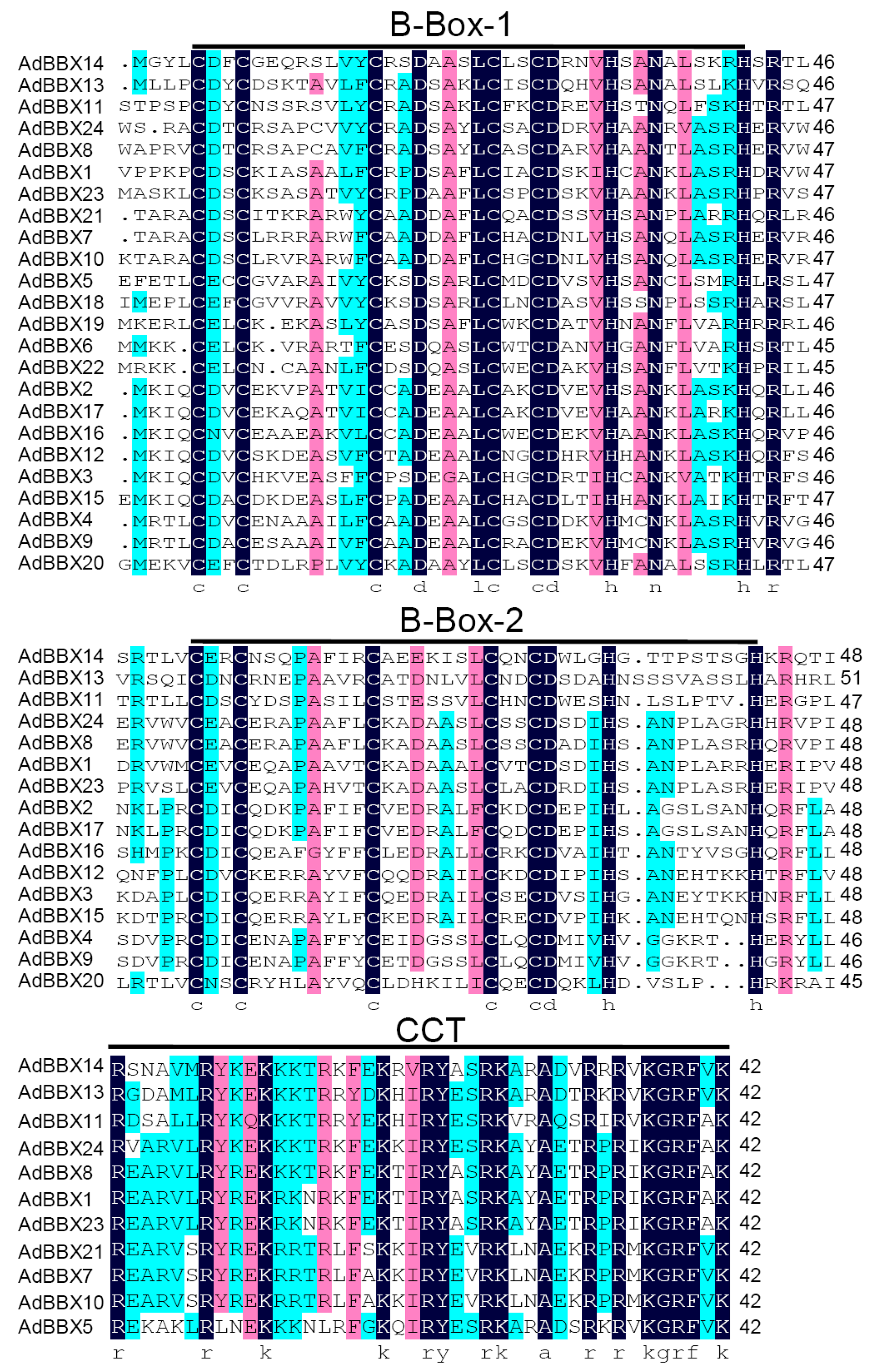 Agronomy 10 00023 g003