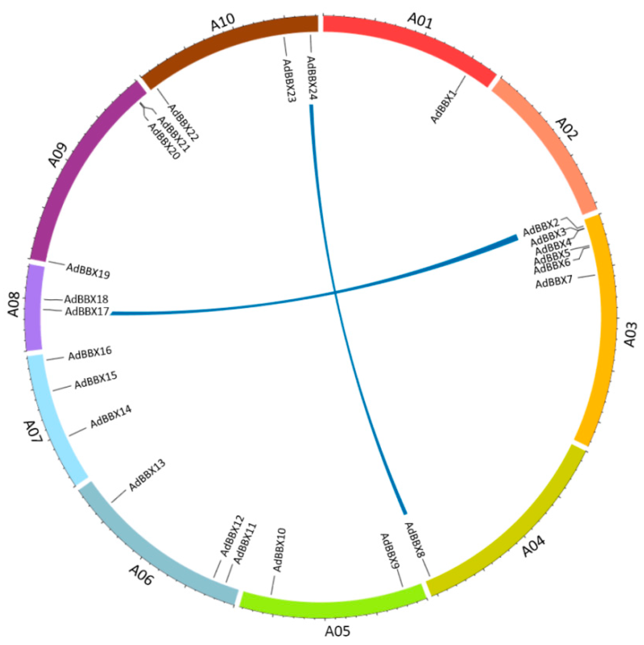 Agronomy 10 00023 g006