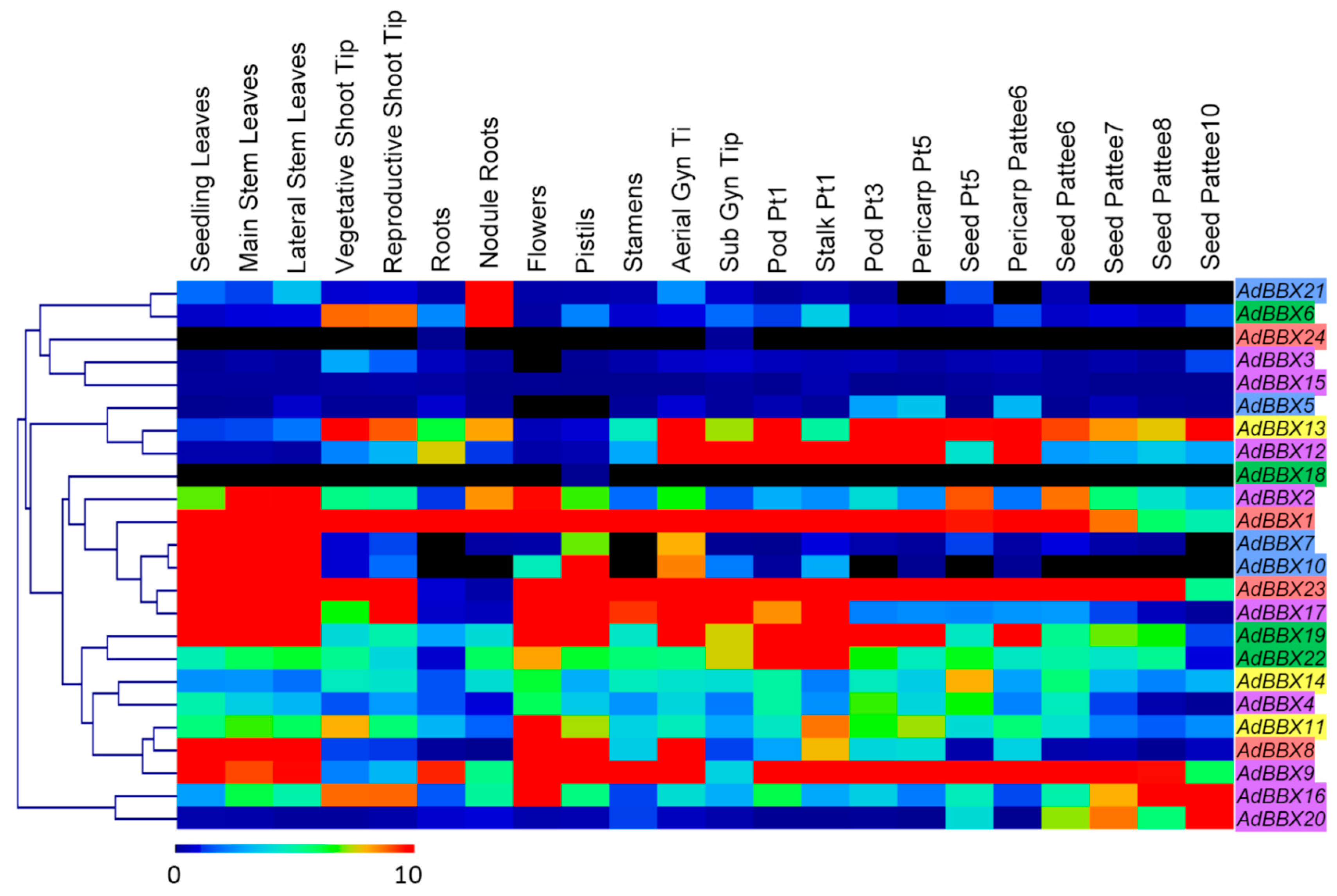 Agronomy 10 00023 g008