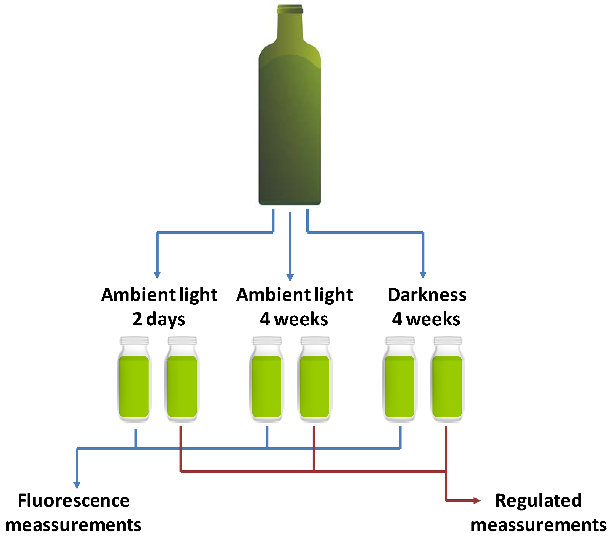 Agronomy 10 00041 g001