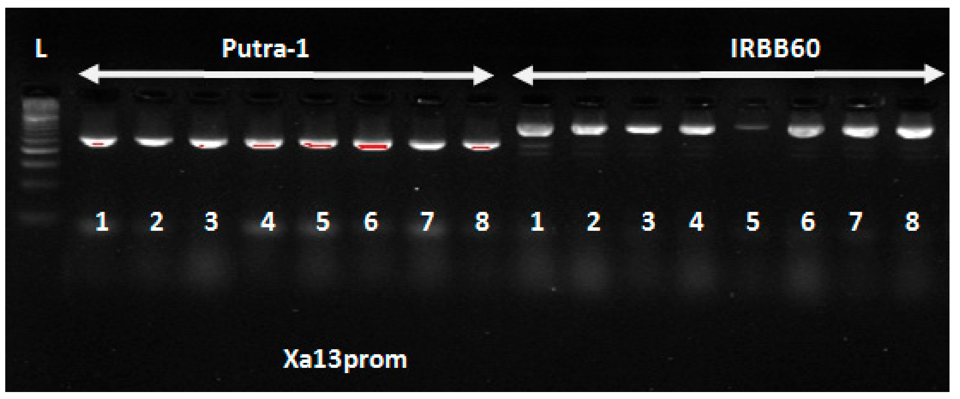 Agronomy 10 00042 g001 Agronomy 10 00042 g001