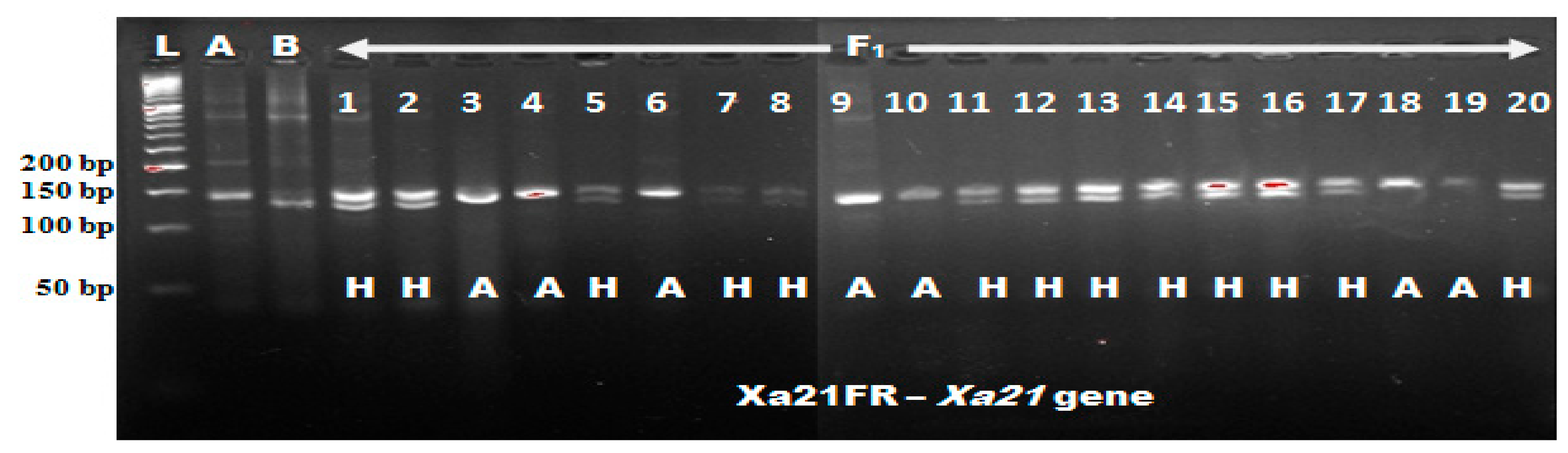 Agronomy 10 00042 g002 Agronomy 10 00042 g002