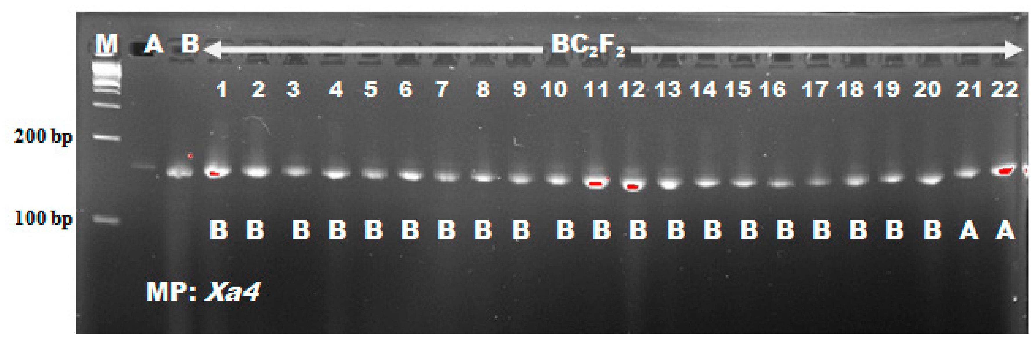 Agronomy 10 00042 g003 Agronomy 10 00042 g003