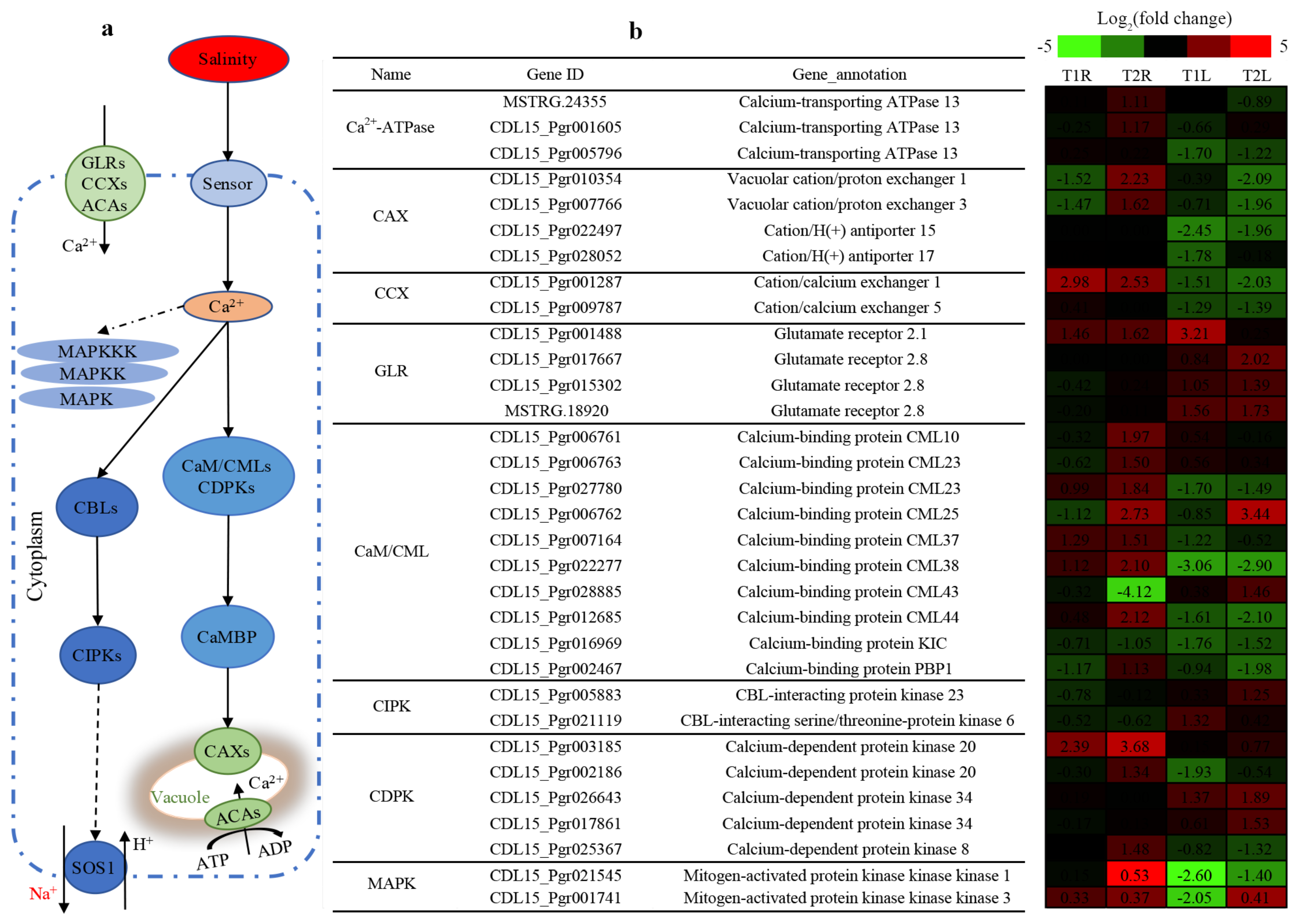 Agronomy 10 00044 g006 Agronomy 10 00044 g006
