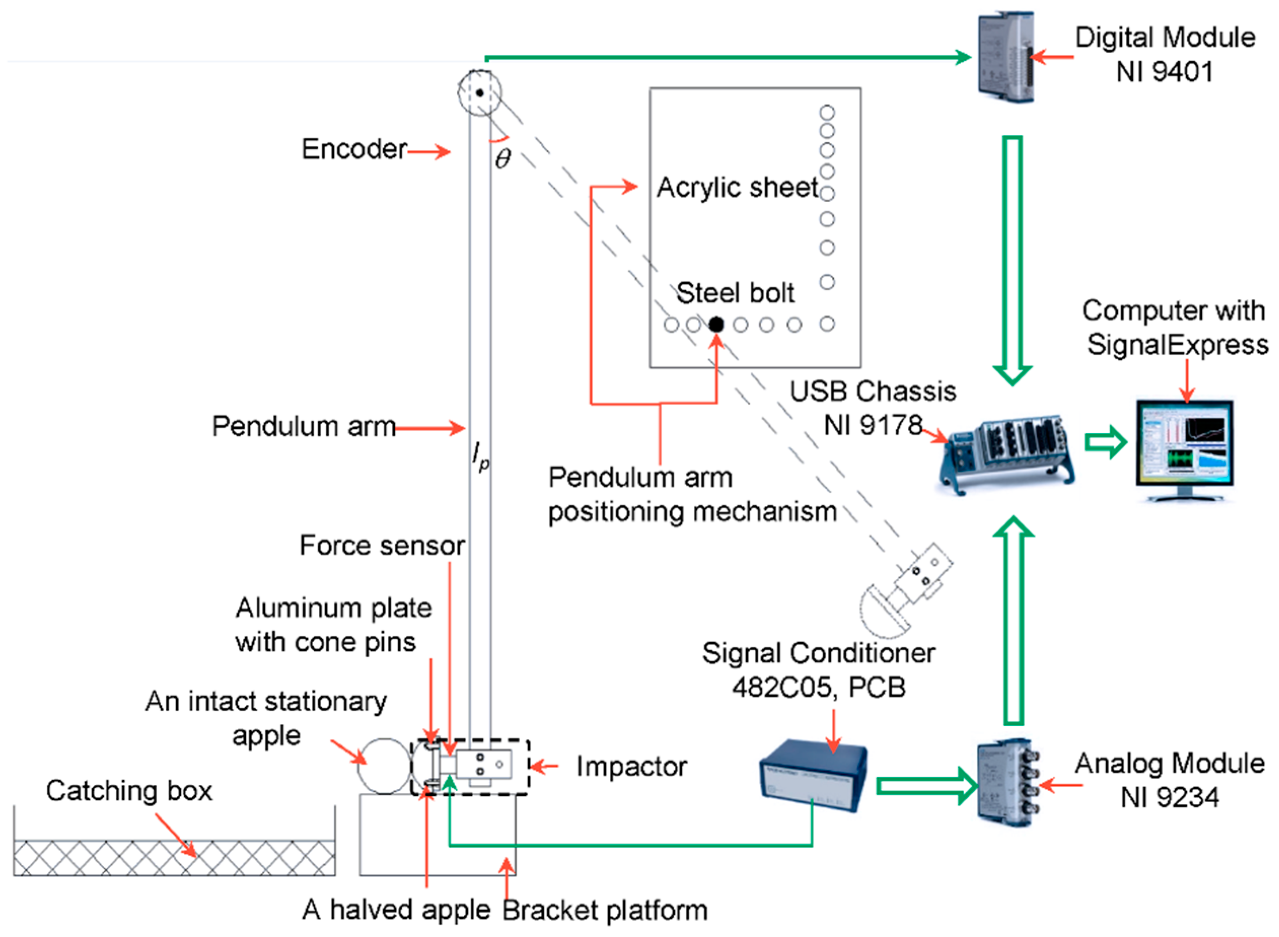 Agronomy 10 00059 g001