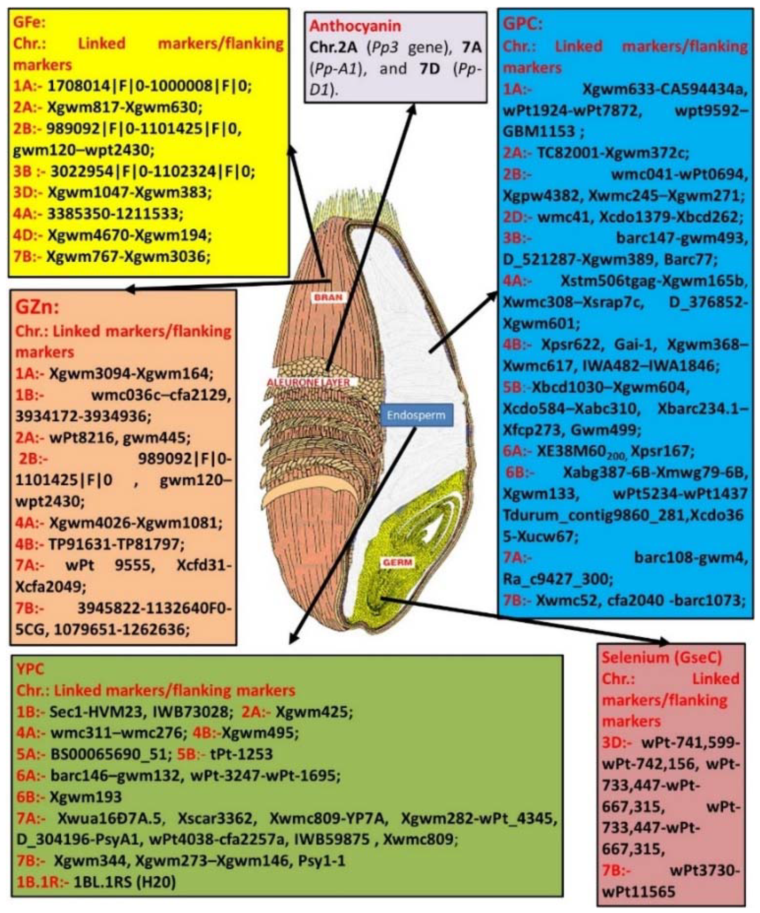 Agronomy 10 00062 g001