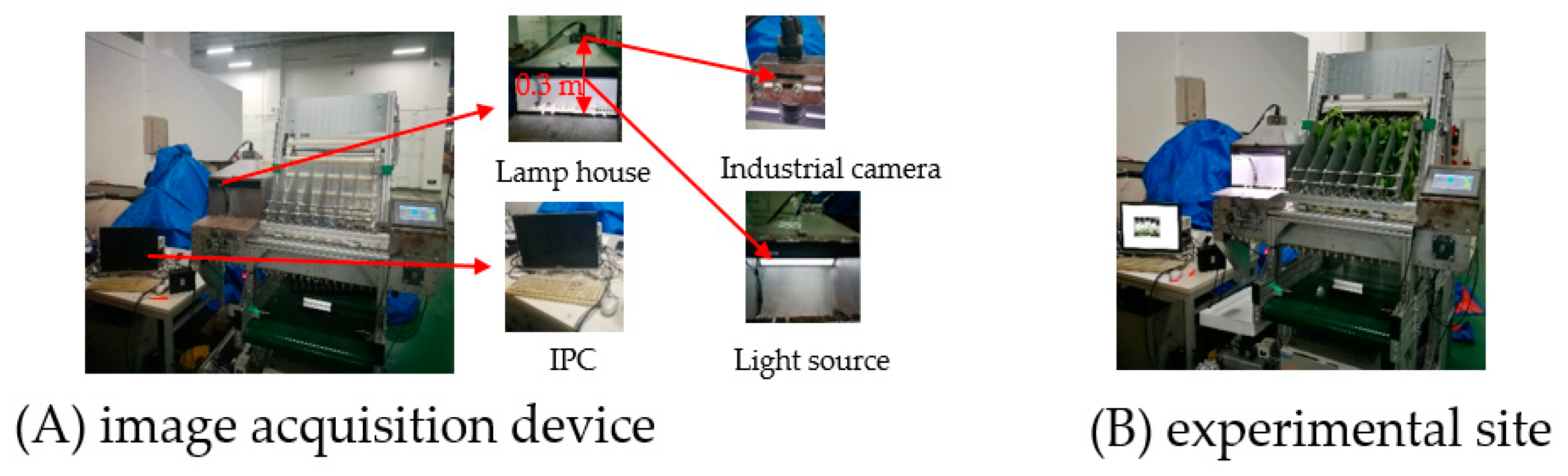 Agronomy 10 00065 g001