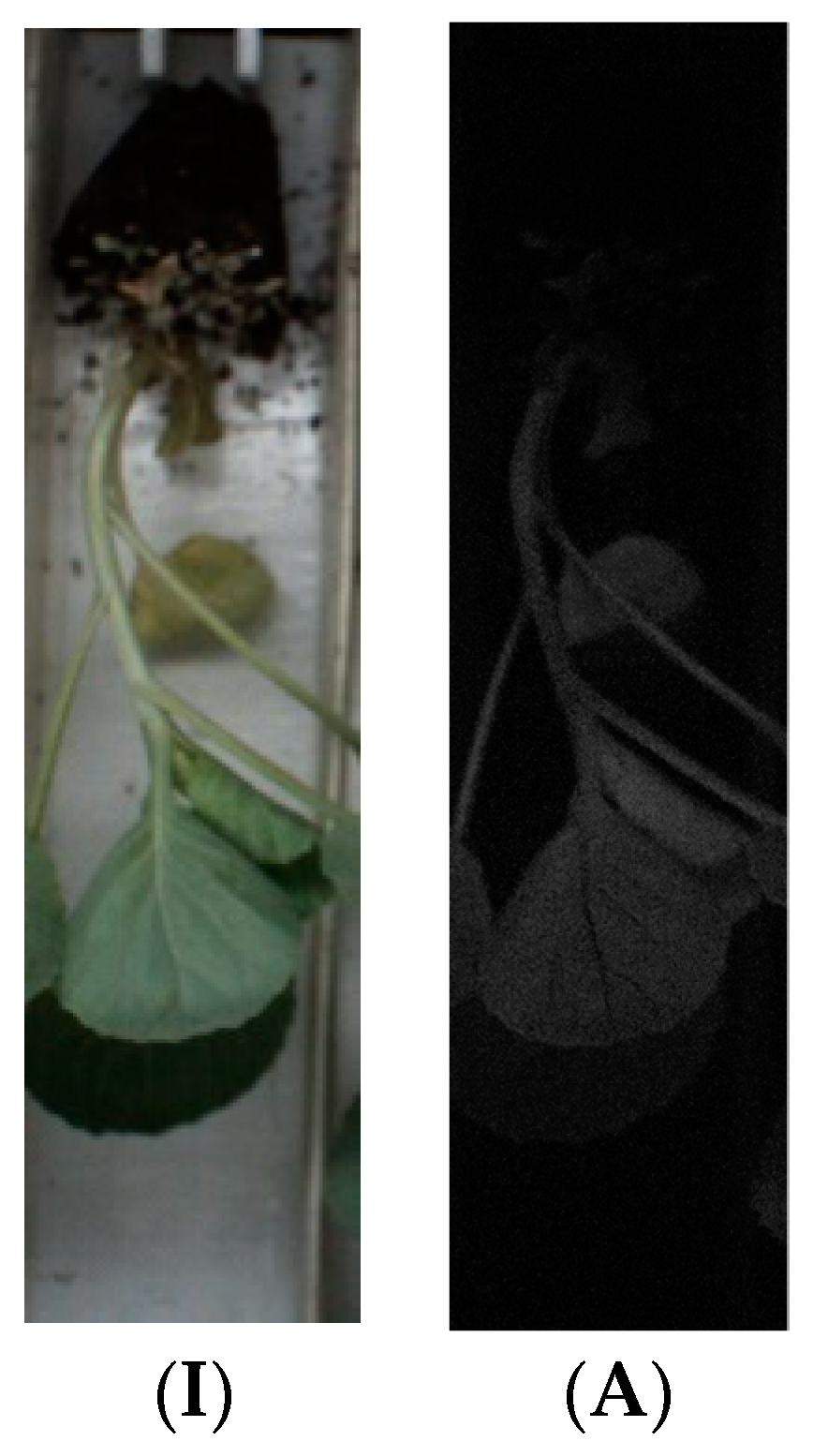 Agronomy 10 00065 g004