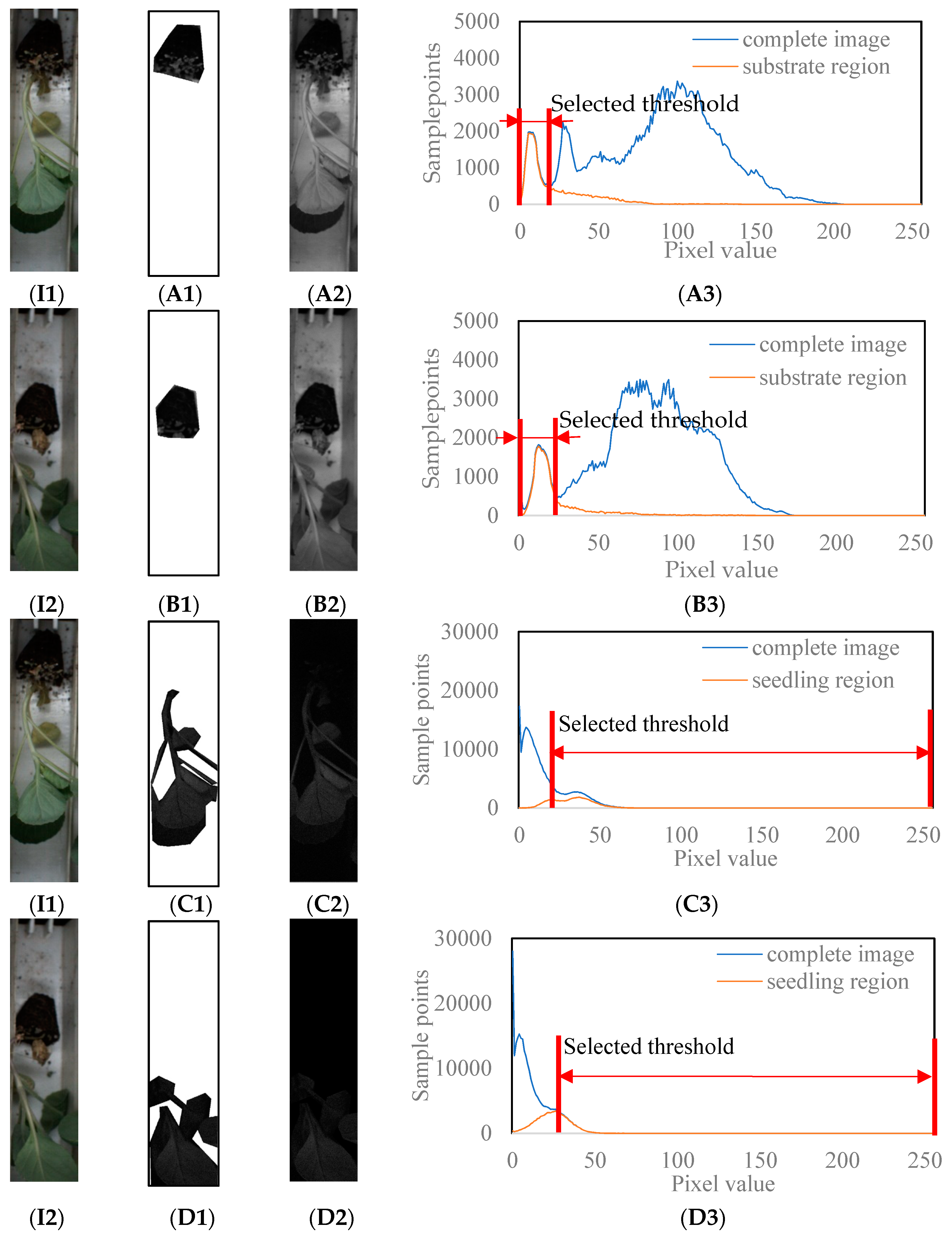 Agronomy 10 00065 g008