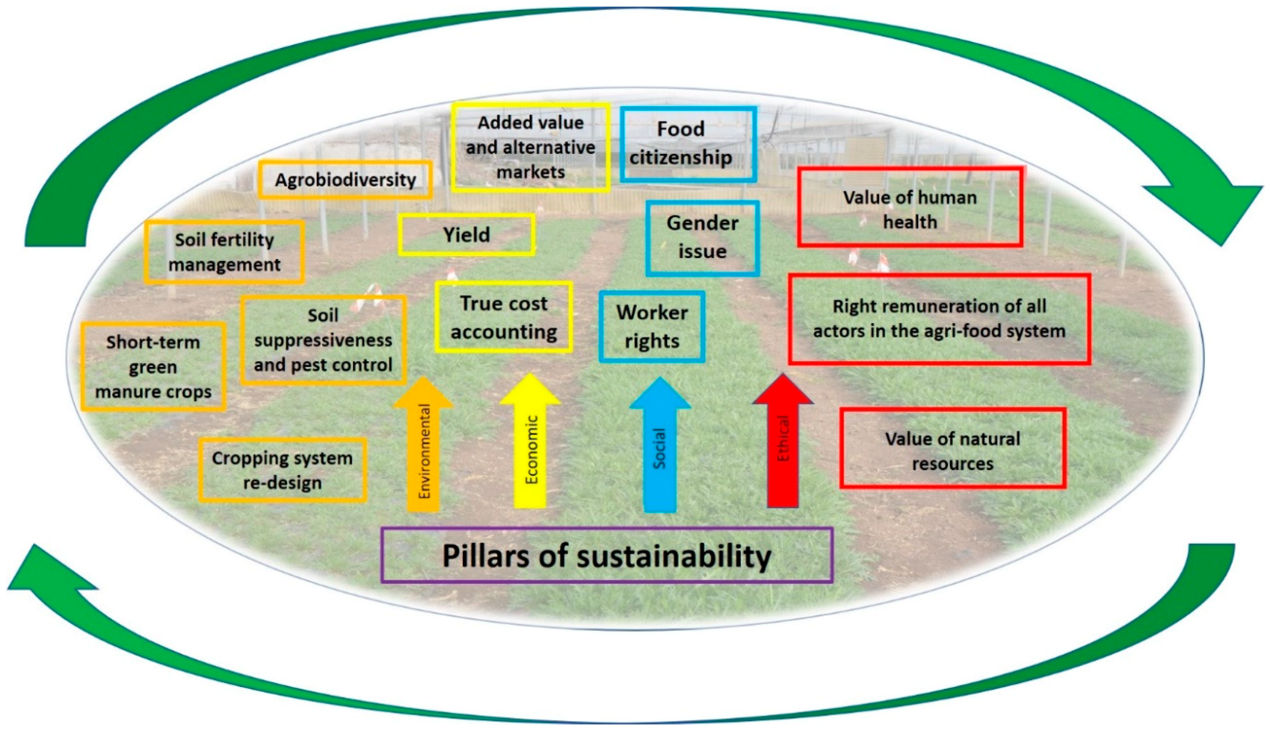 Agronomy 10 00072 g001