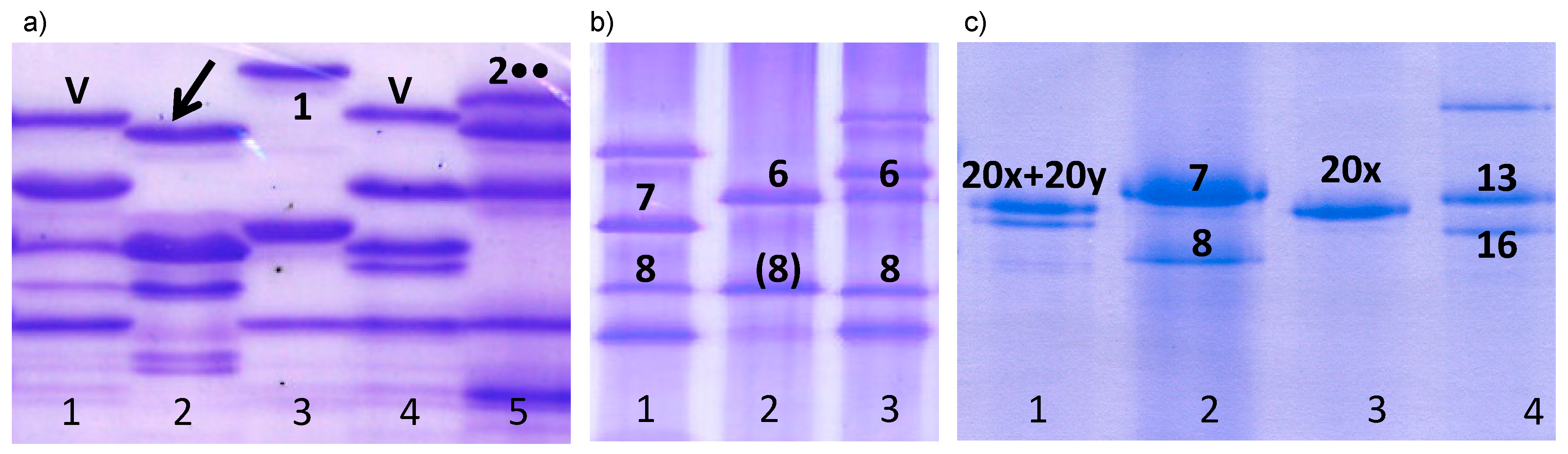 Agronomy 10 00136 g001 Agronomy 10 00136 g001