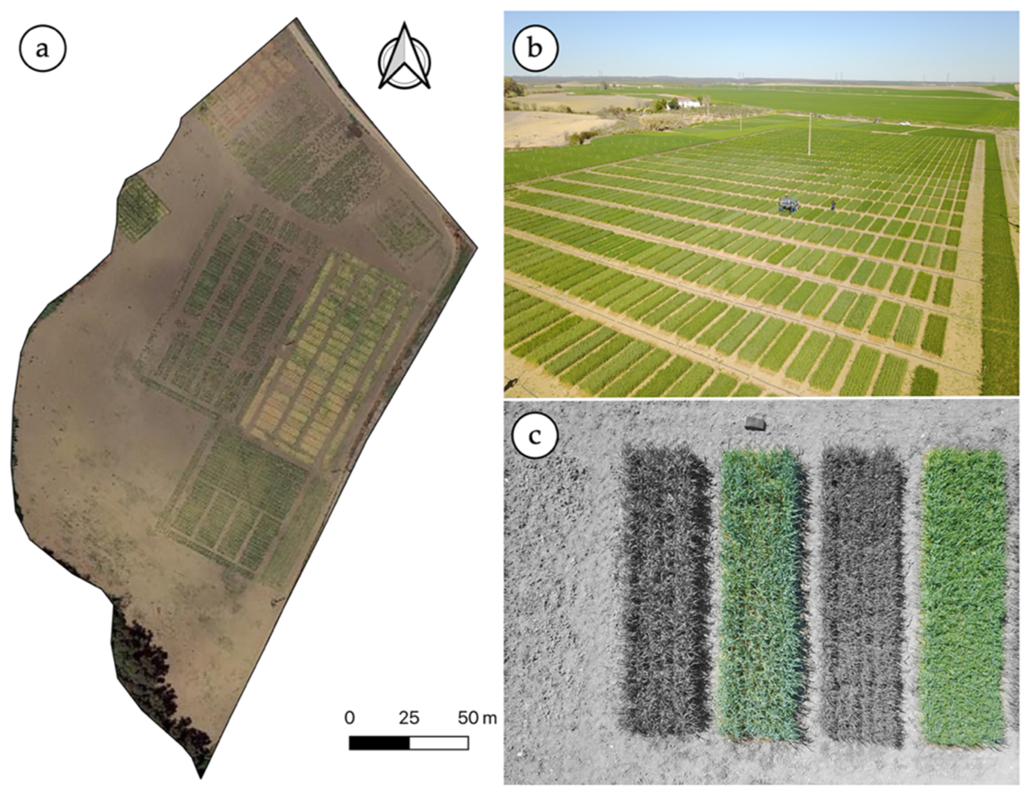 Agronomy 10 00175 g001