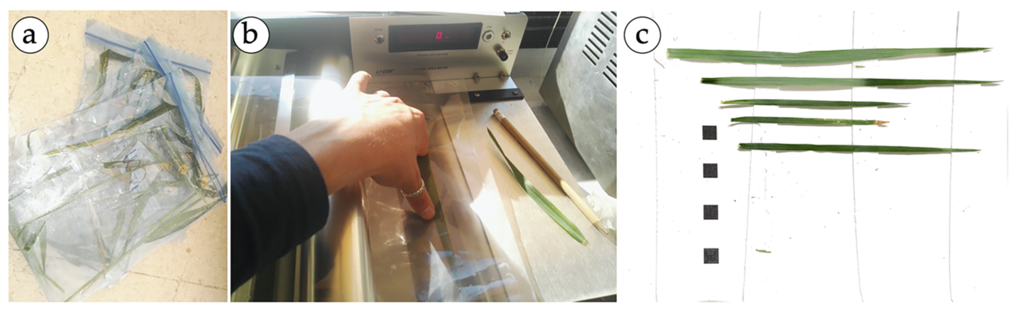 Agronomy 10 00175 g002