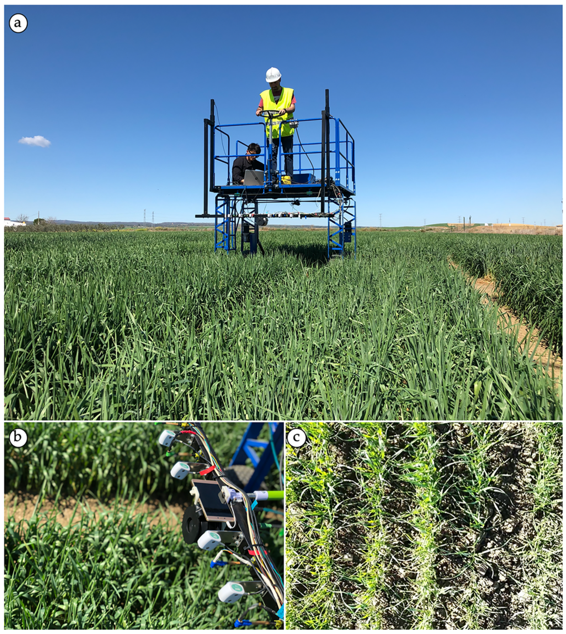 Agronomy 10 00175 g004