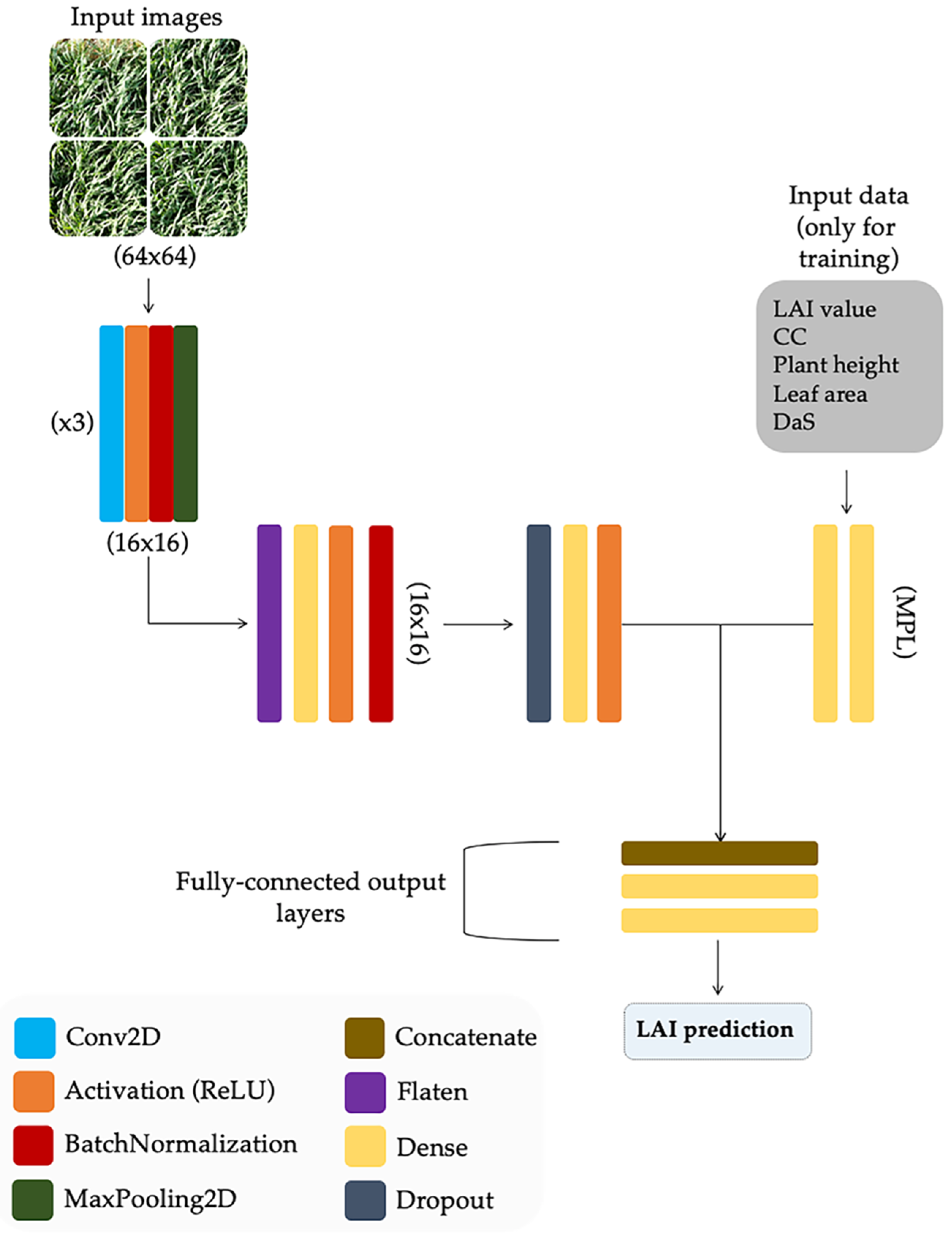 Agronomy 10 00175 g006