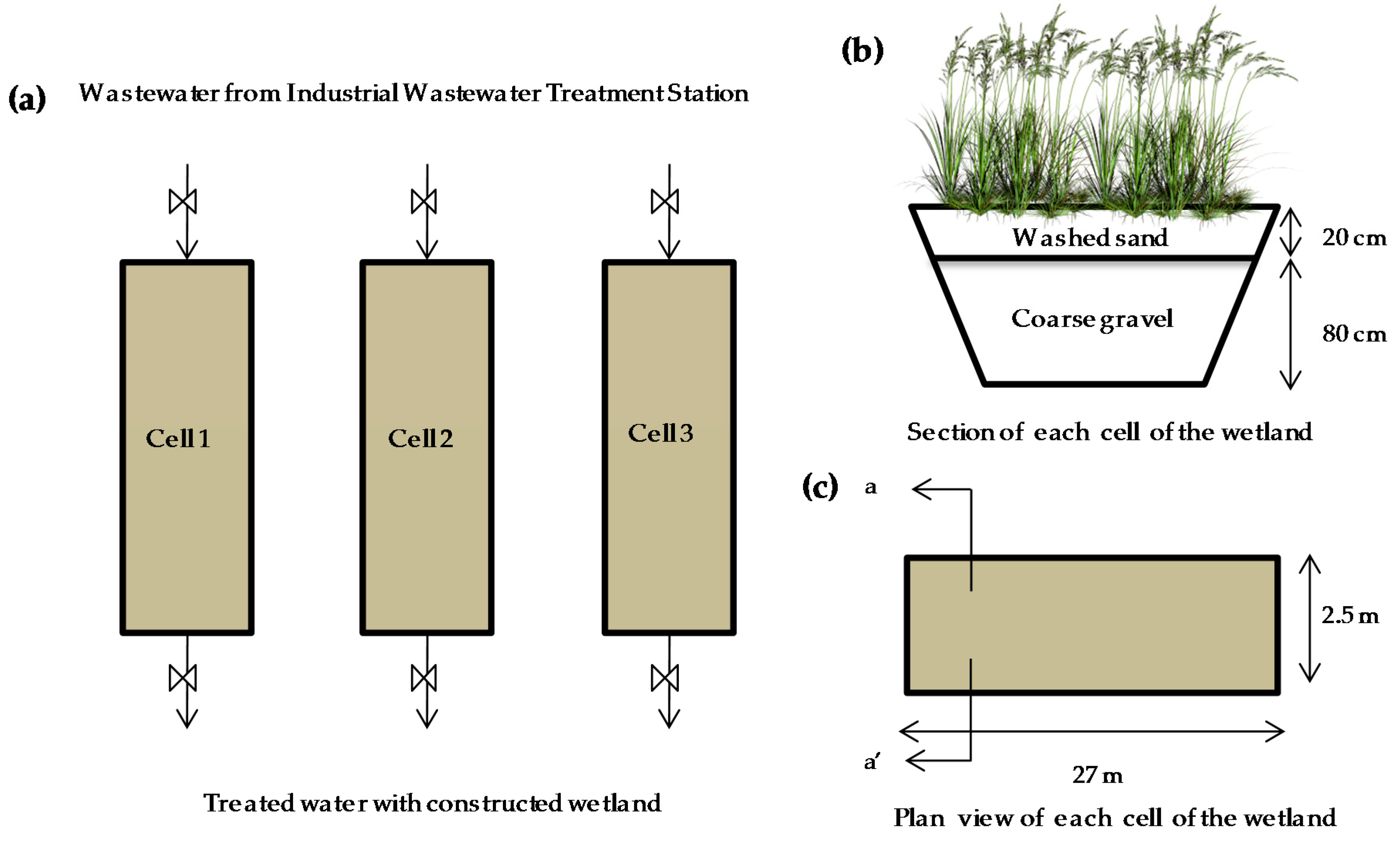Agronomy 10 00176 g001b