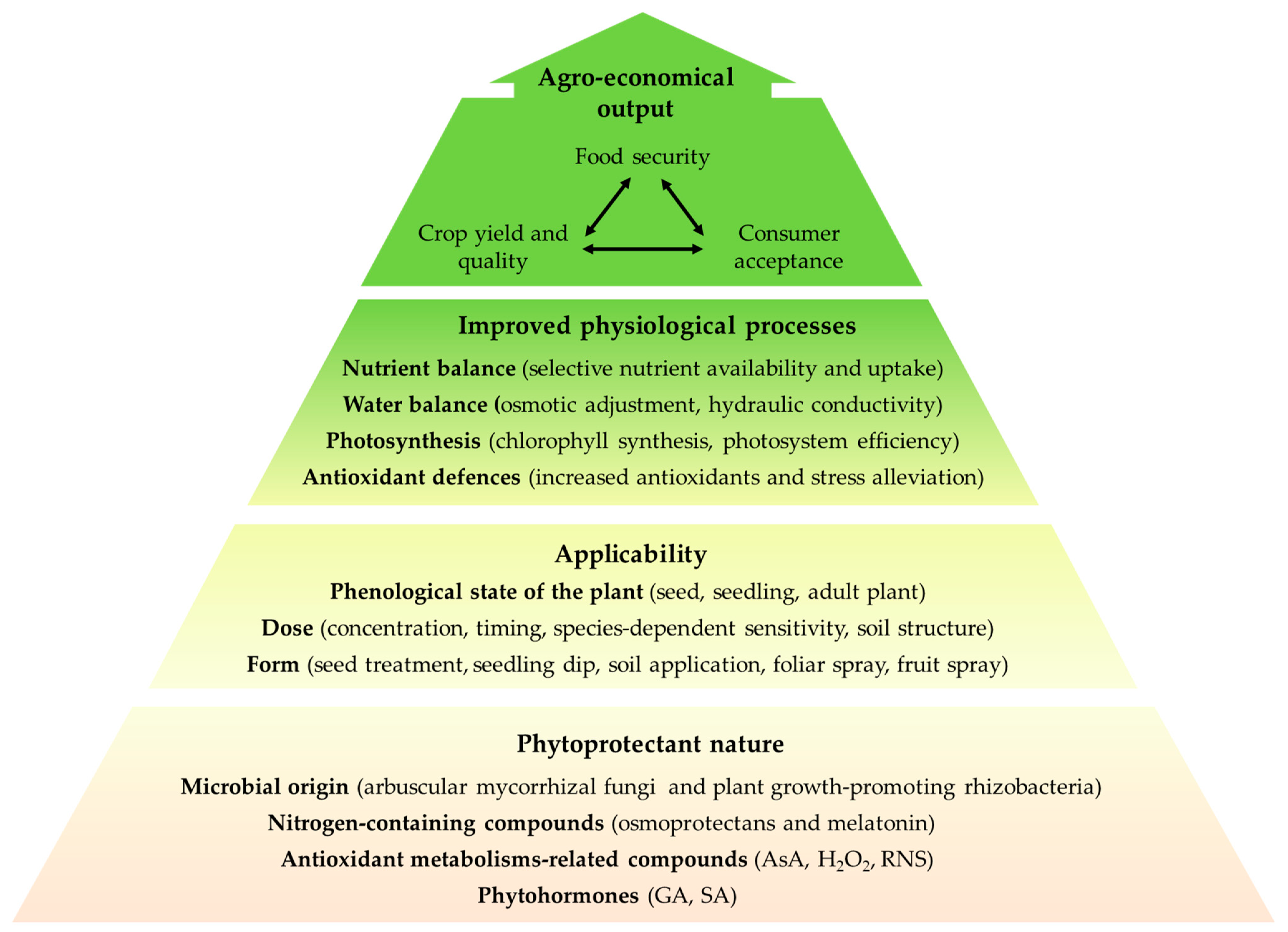 Agronomy 10 00194 g001