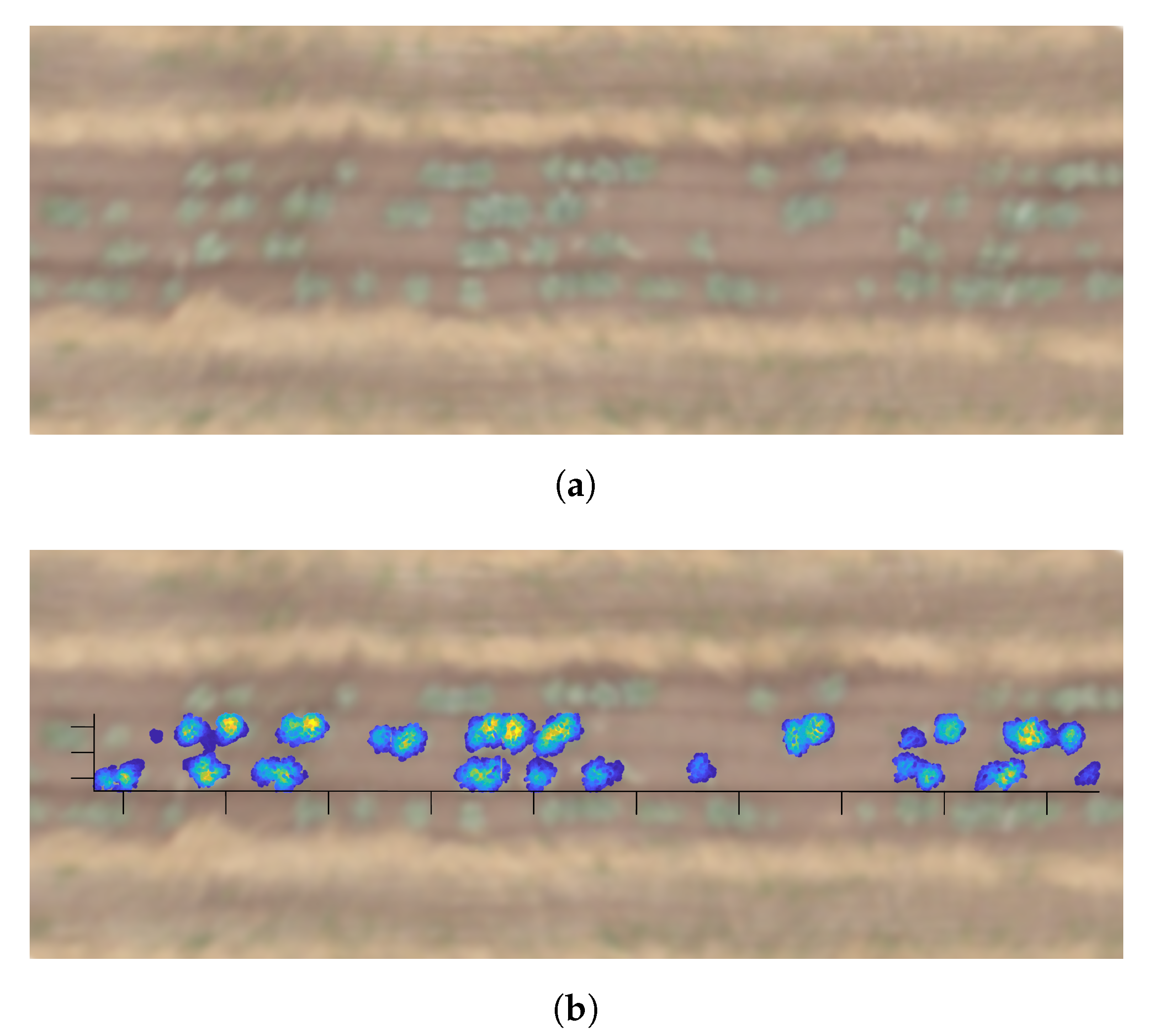 Agronomy 10 00197 g005 Agronomy 10 00197 g005