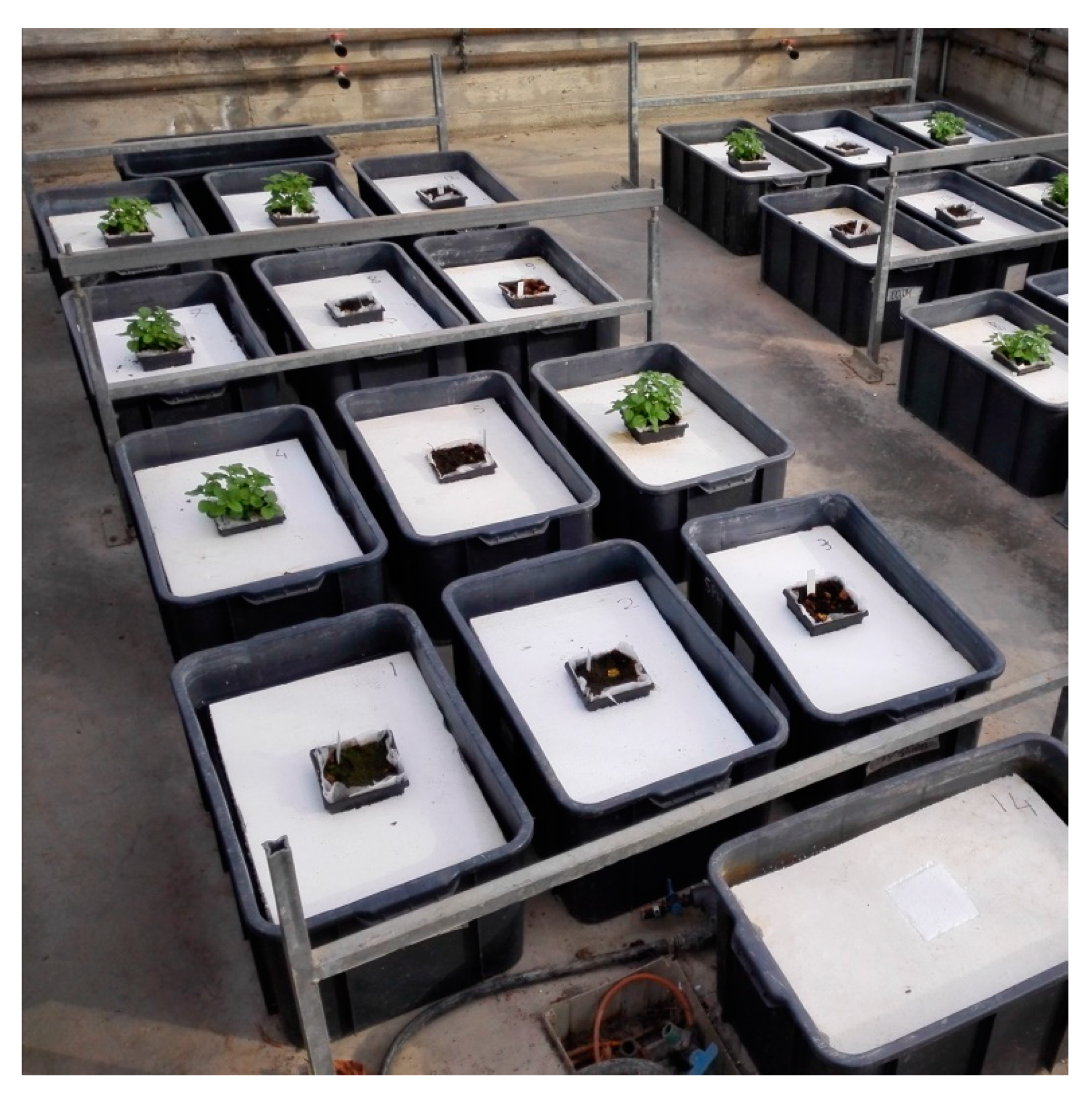 Agronomy 10 00199 g001 Agronomy 10 00199 g001