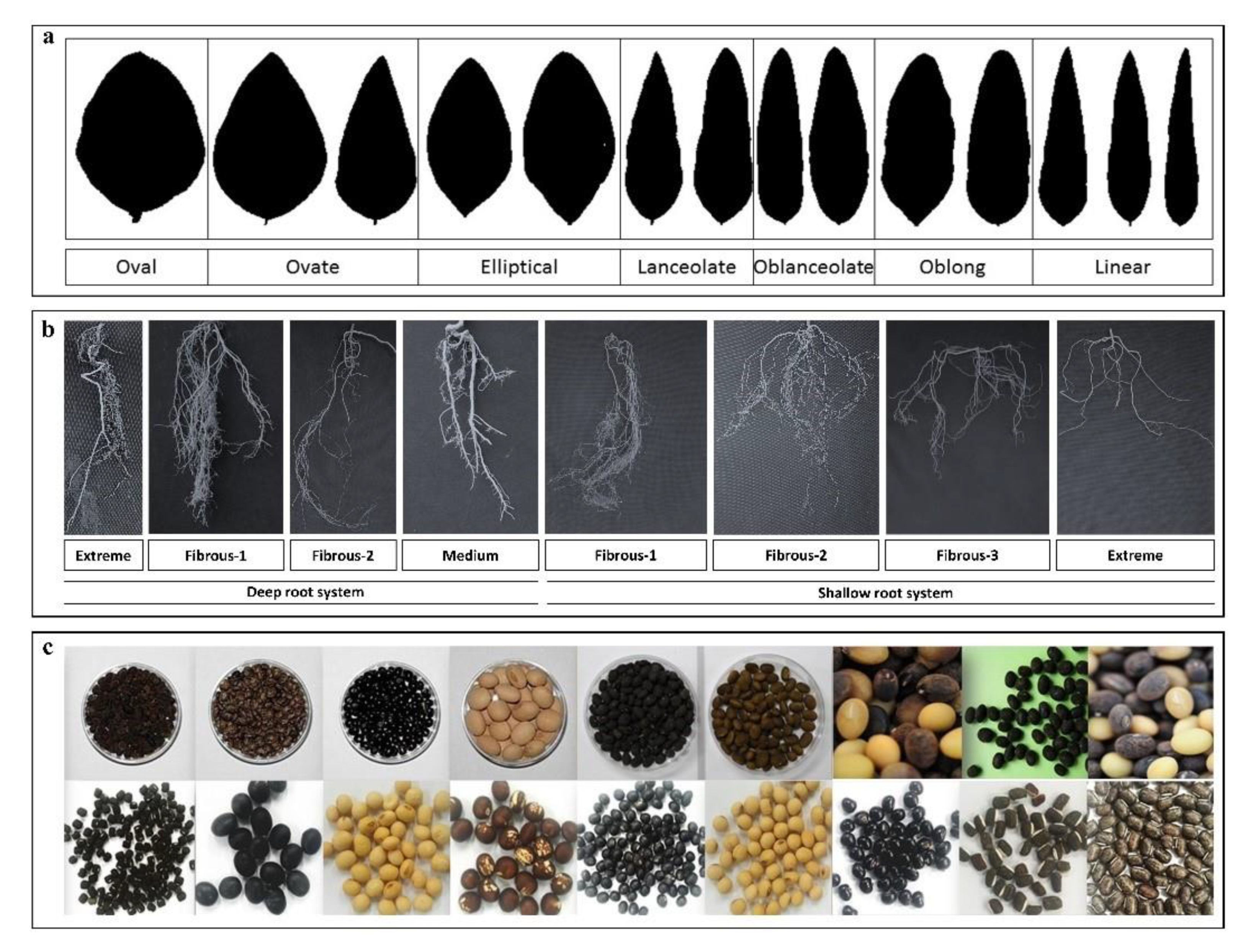 Agronomy 10 00214 g003 Agronomy 10 00214 g003