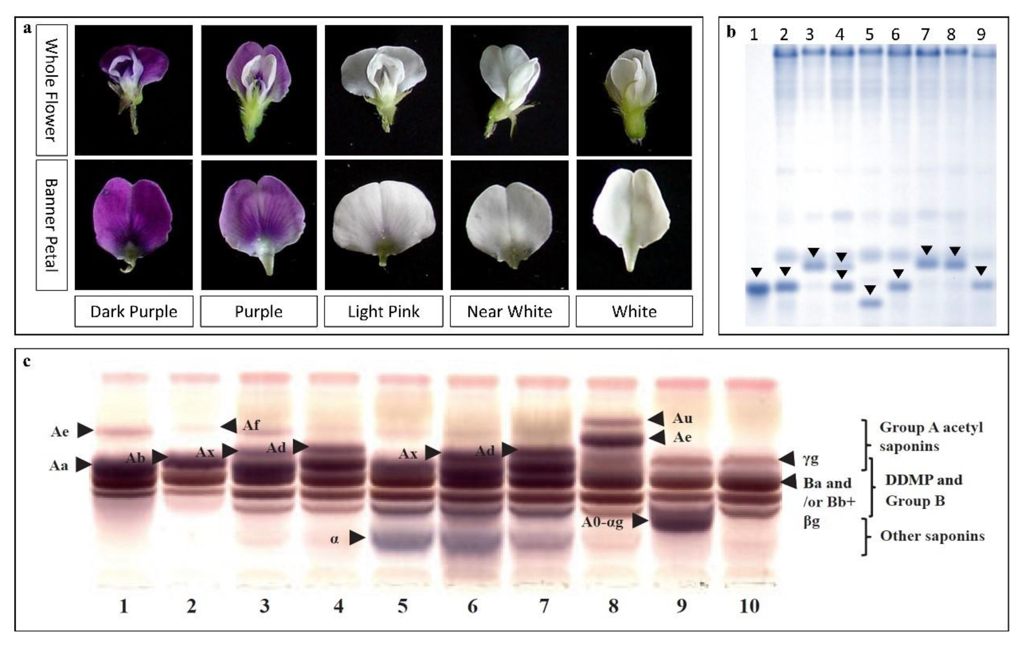 Agronomy 10 00214 g004 Agronomy 10 00214 g004