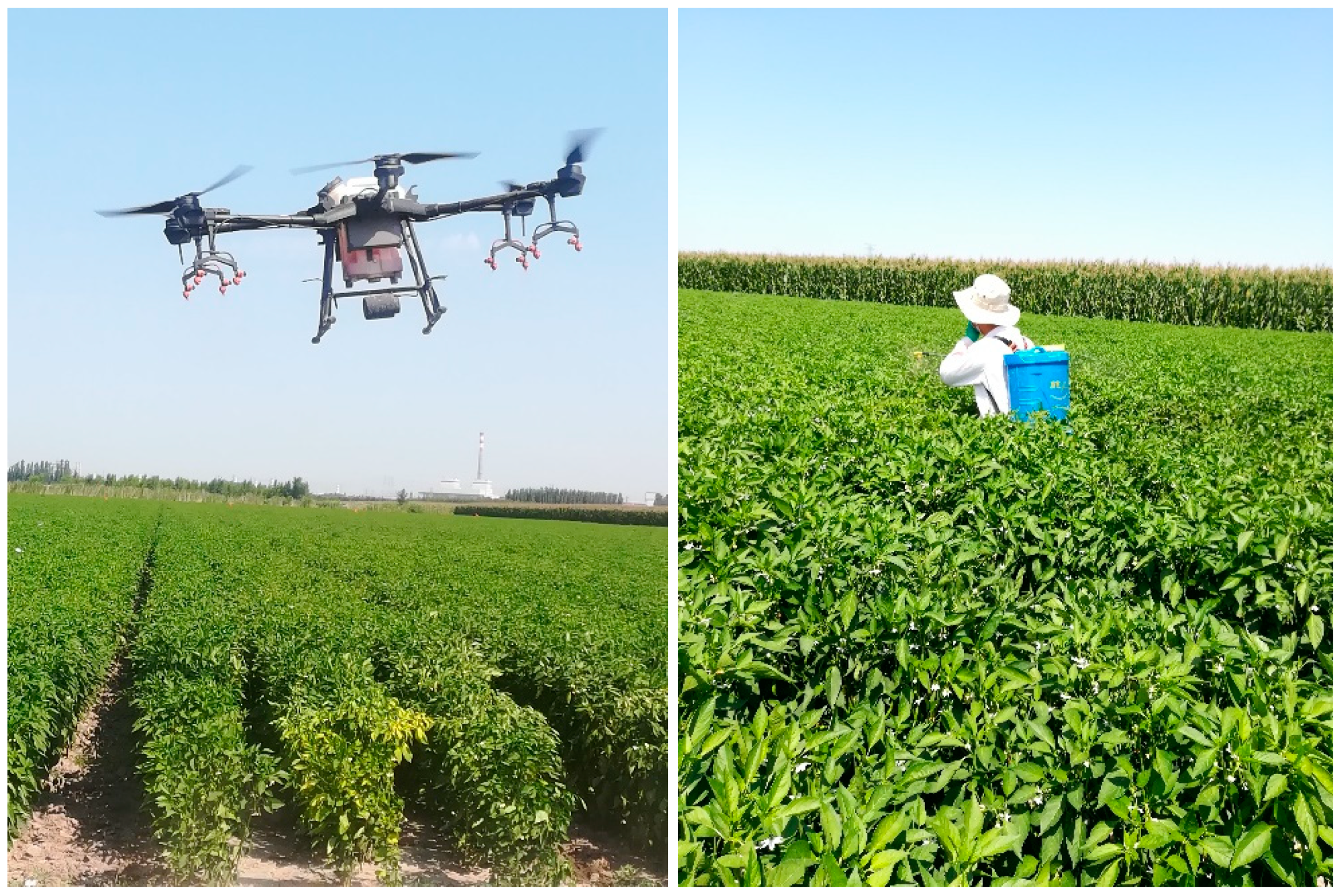 Agronomy 10 00215 g001