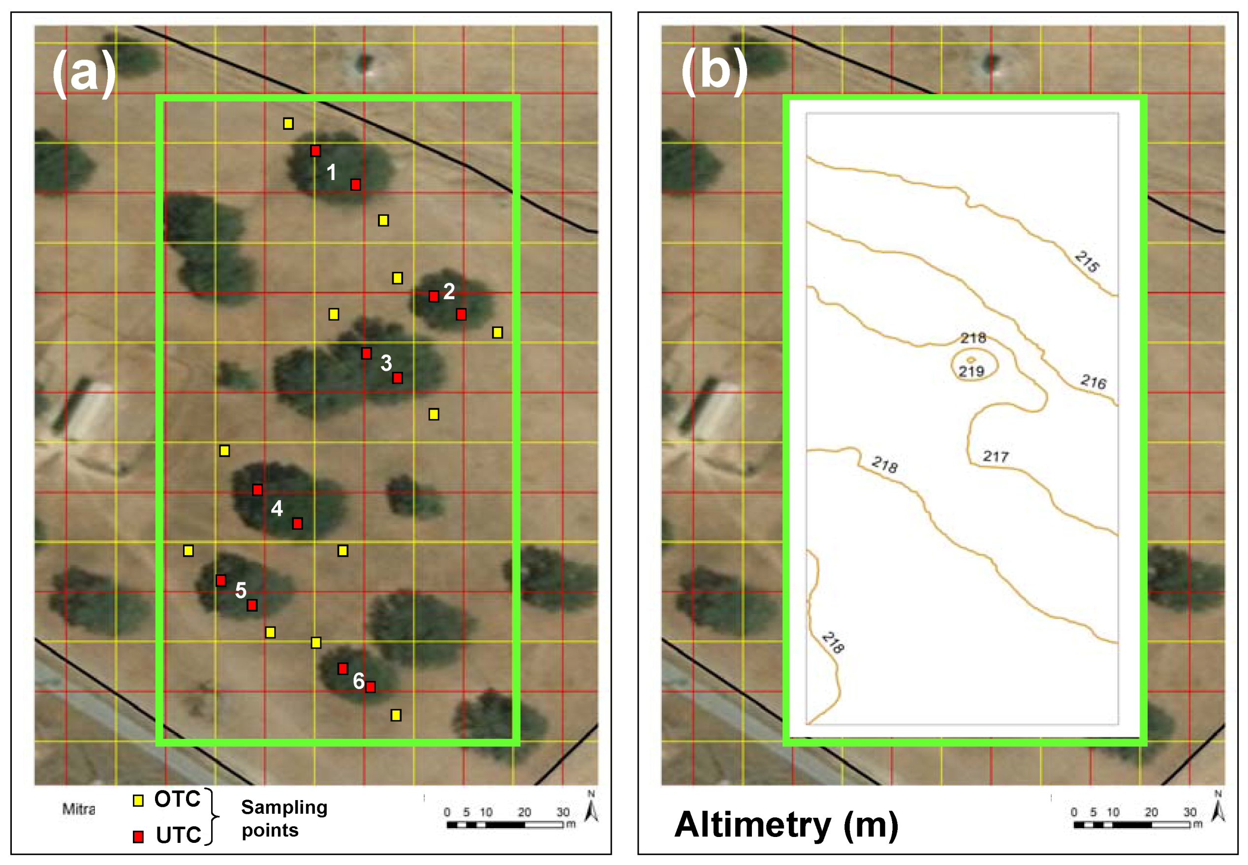 Agronomy 10 00218 g002