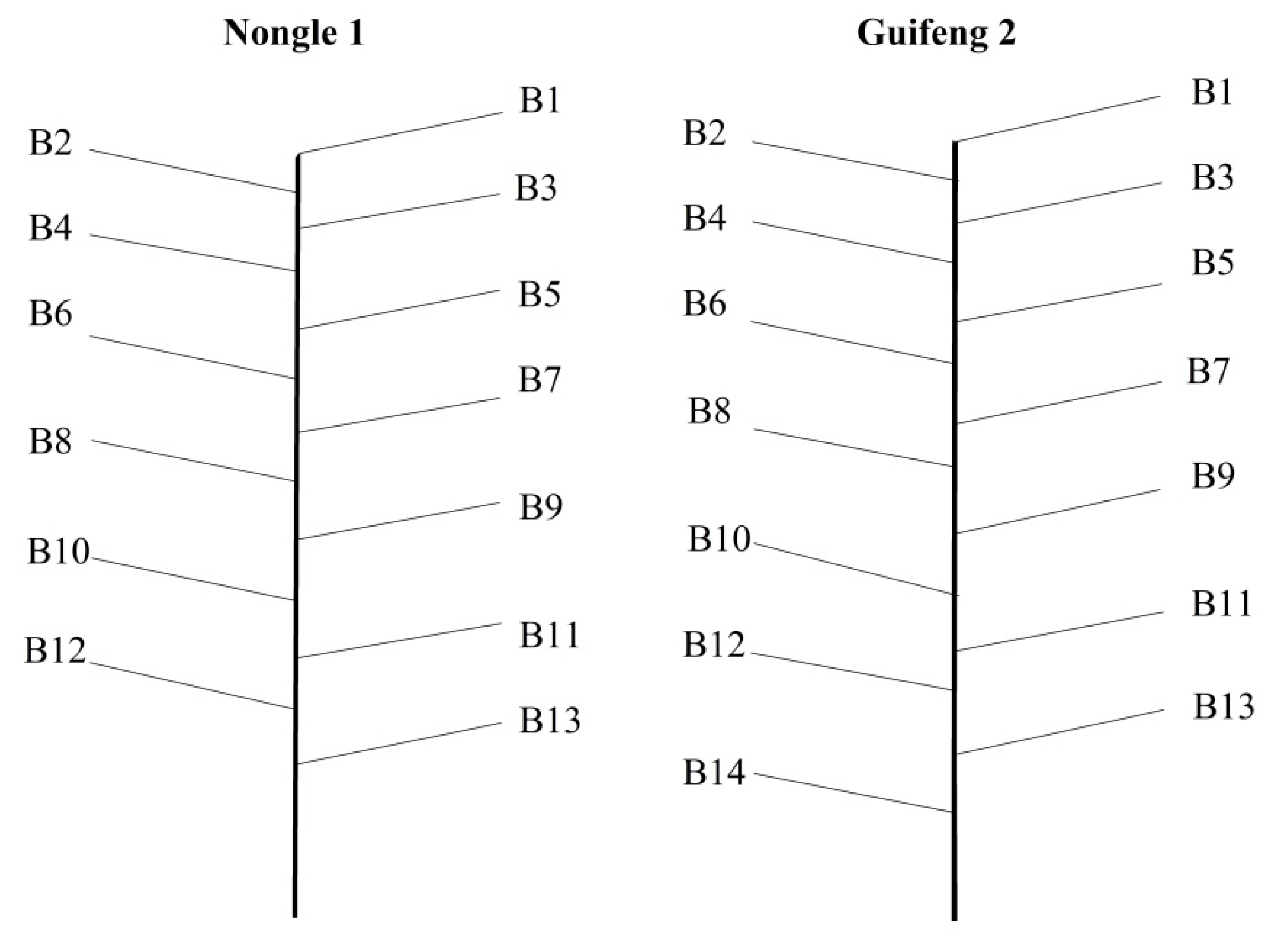 Agronomy 10 00223 g002 Agronomy 10 00223 g002