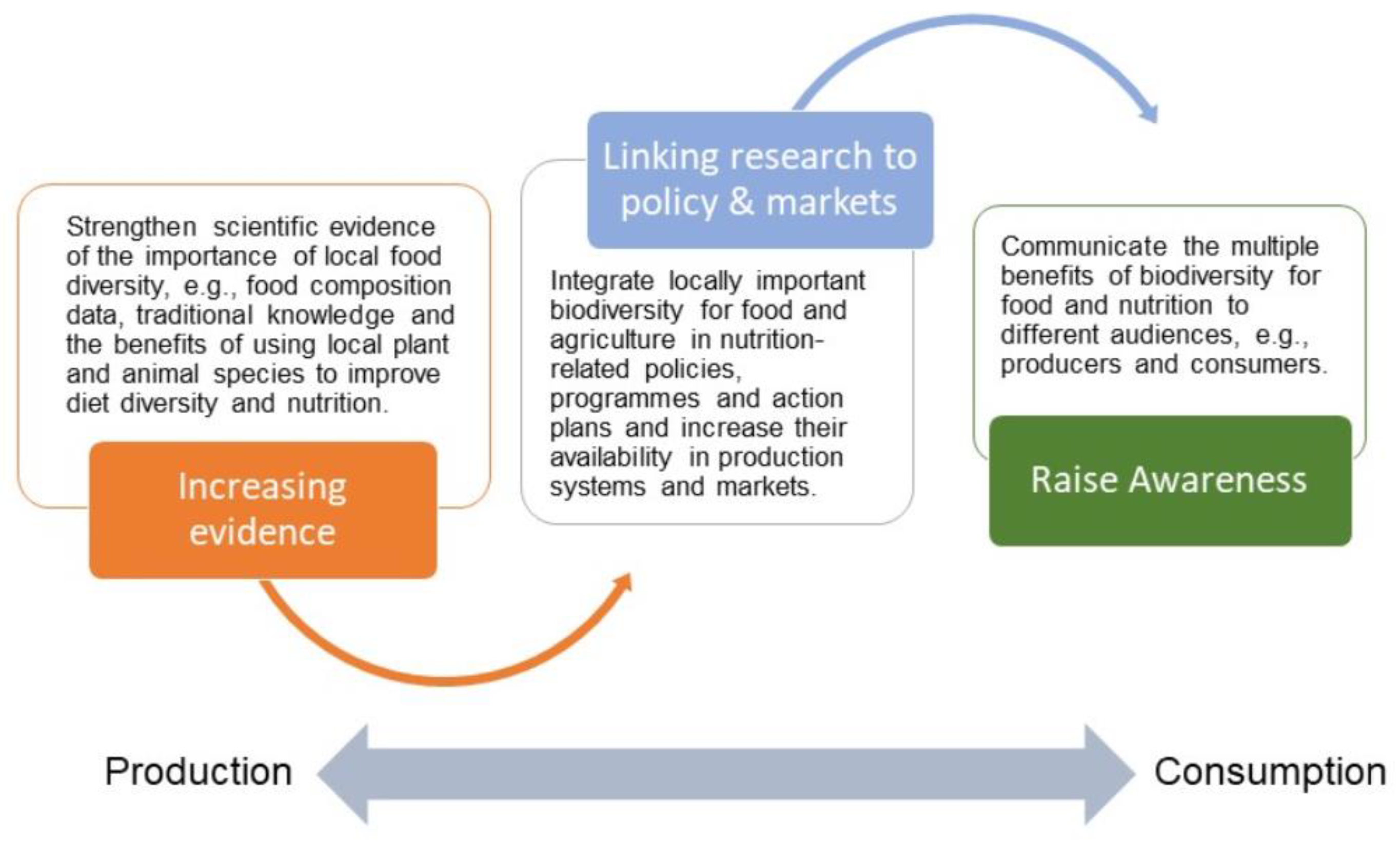 Agronomy 10 00231 g001