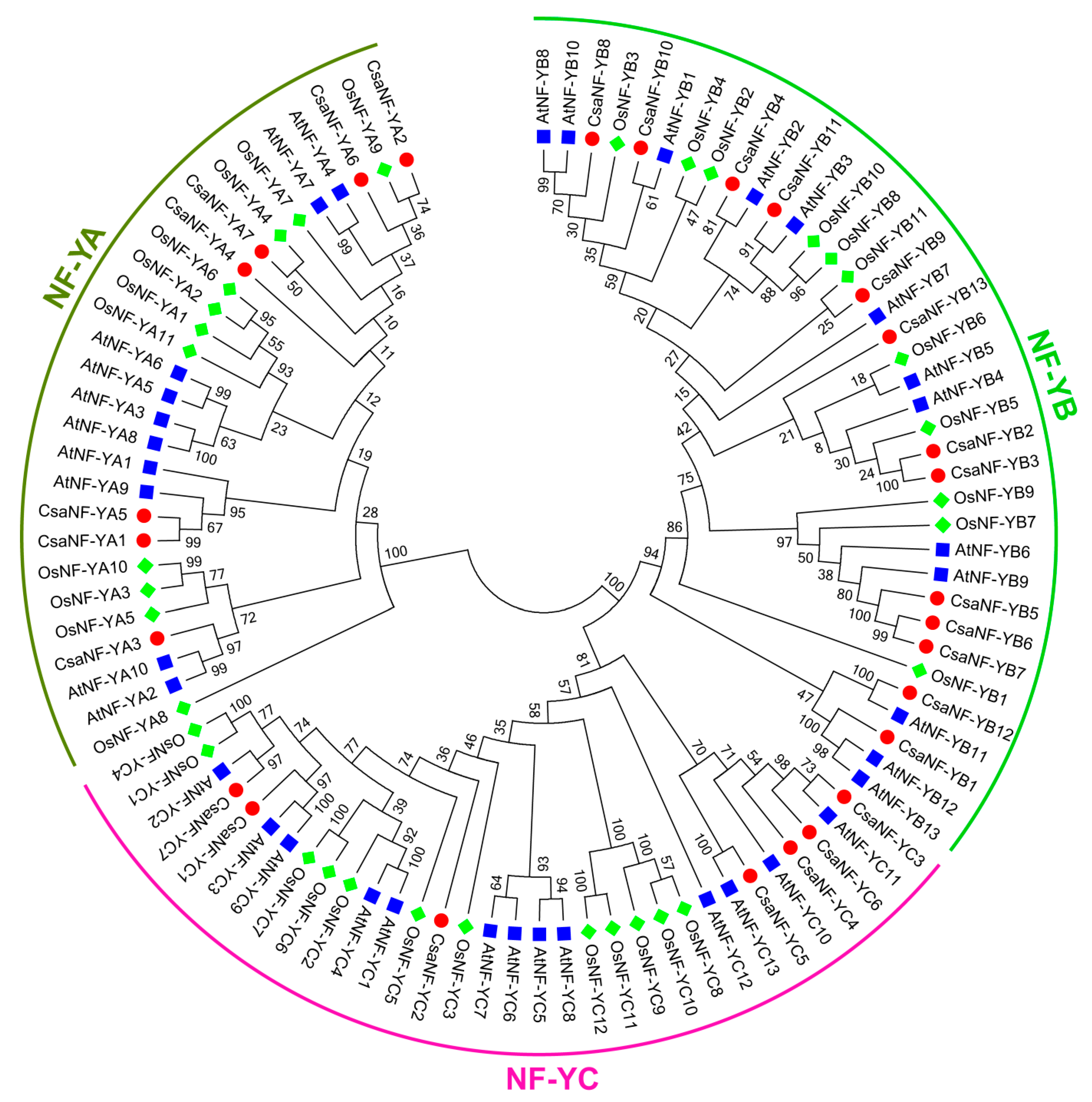 Agronomy 10 00236 g001