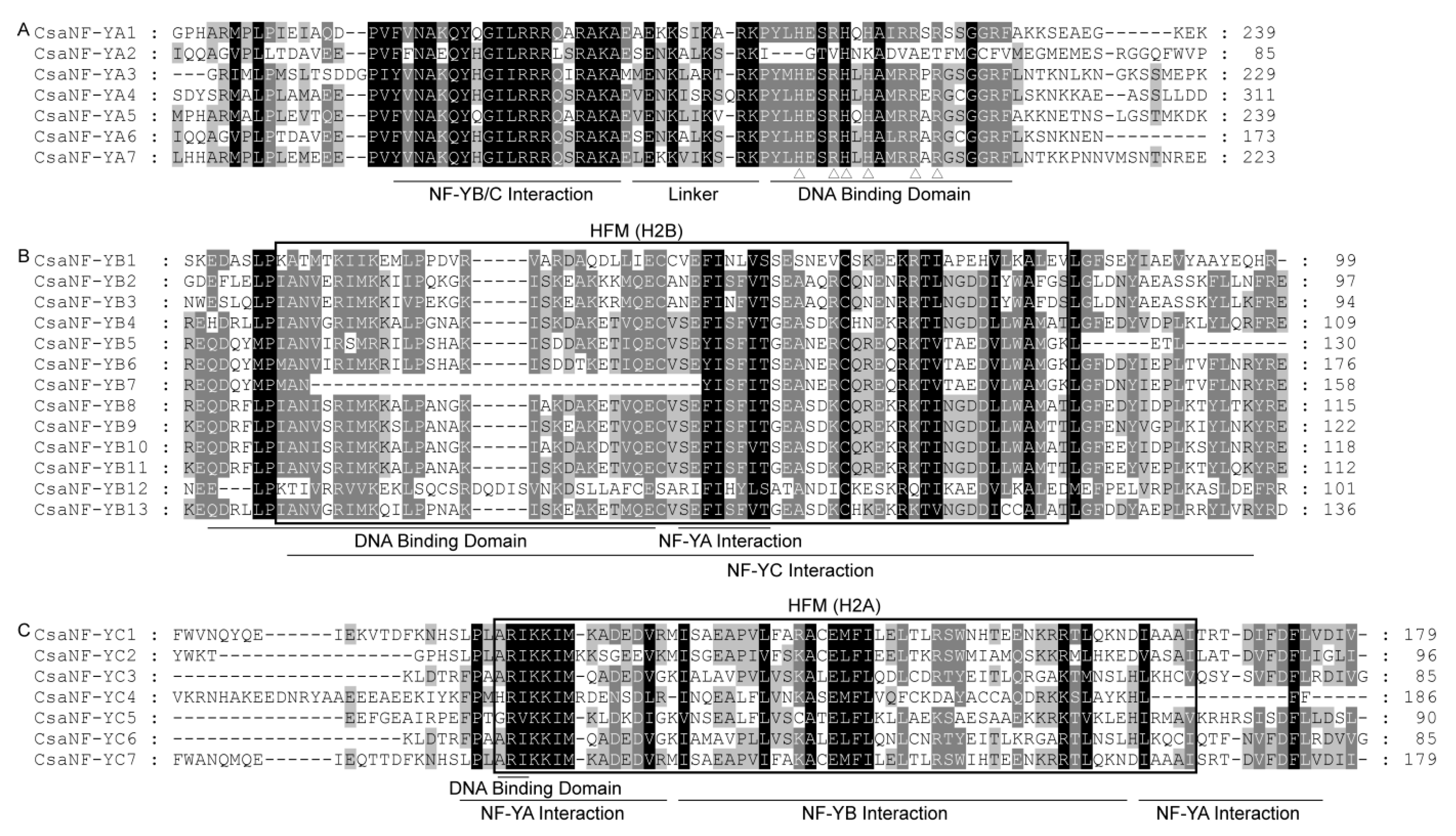 Agronomy 10 00236 g003