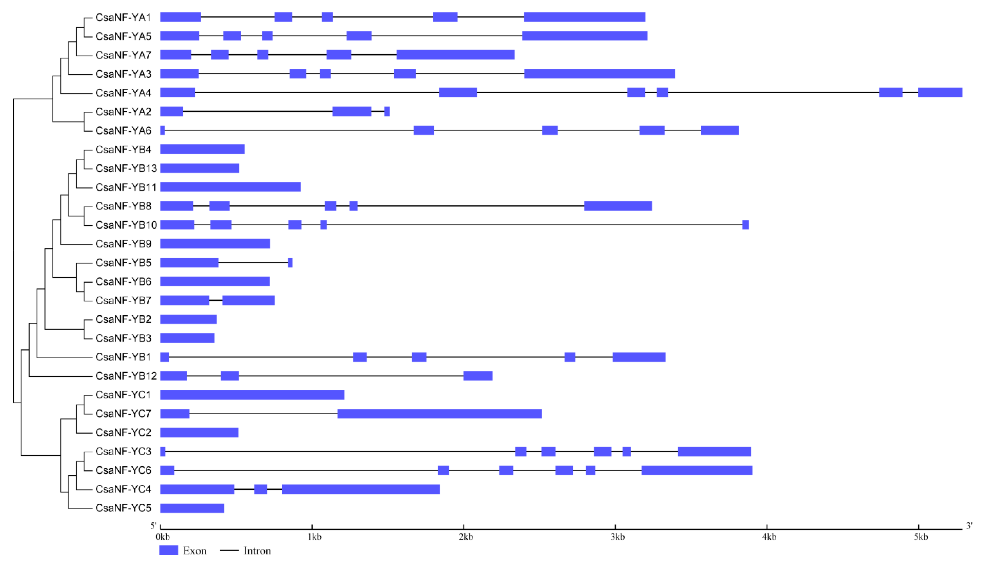 Agronomy 10 00236 g004
