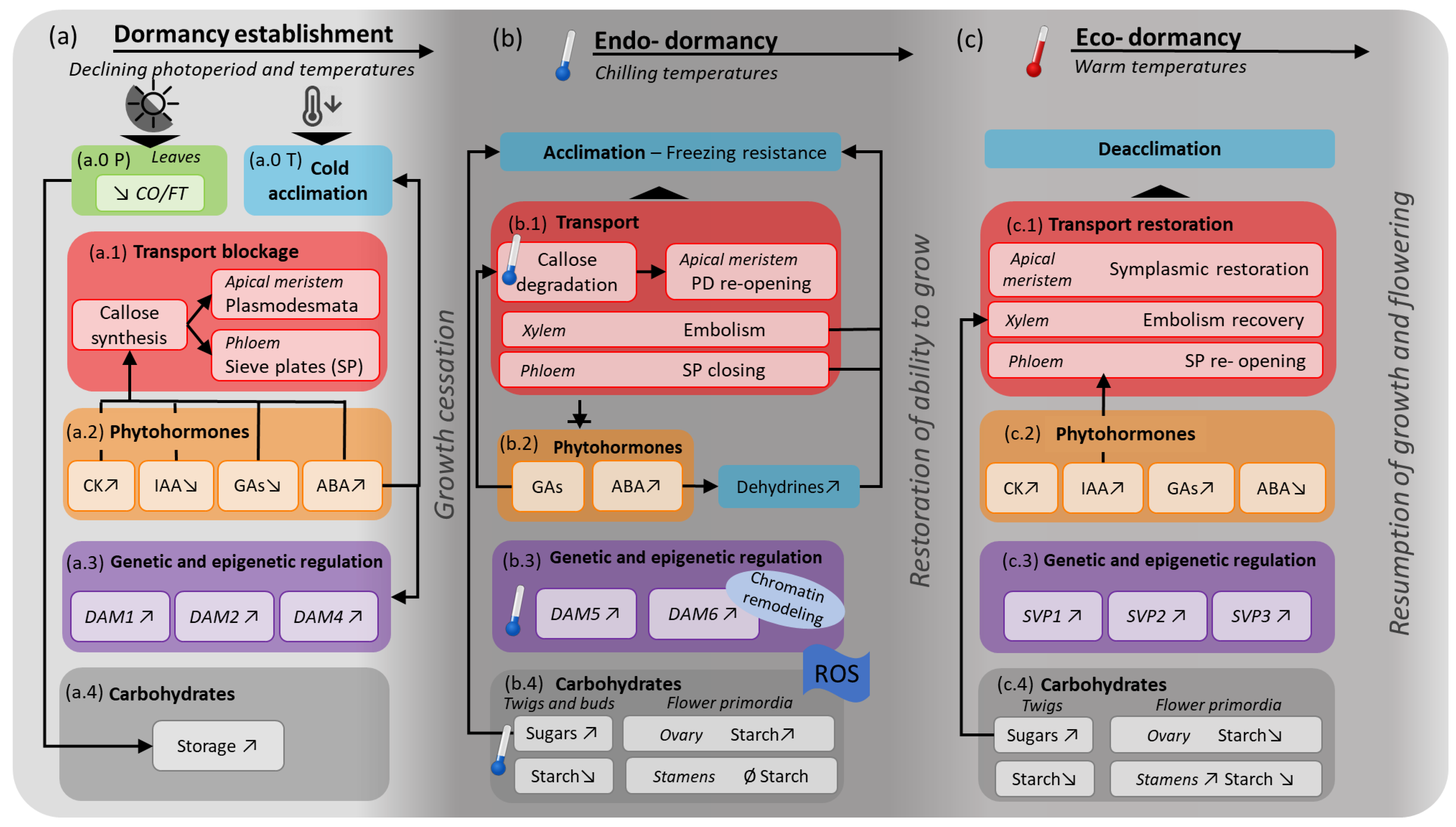 Agronomy 10 00241 g003