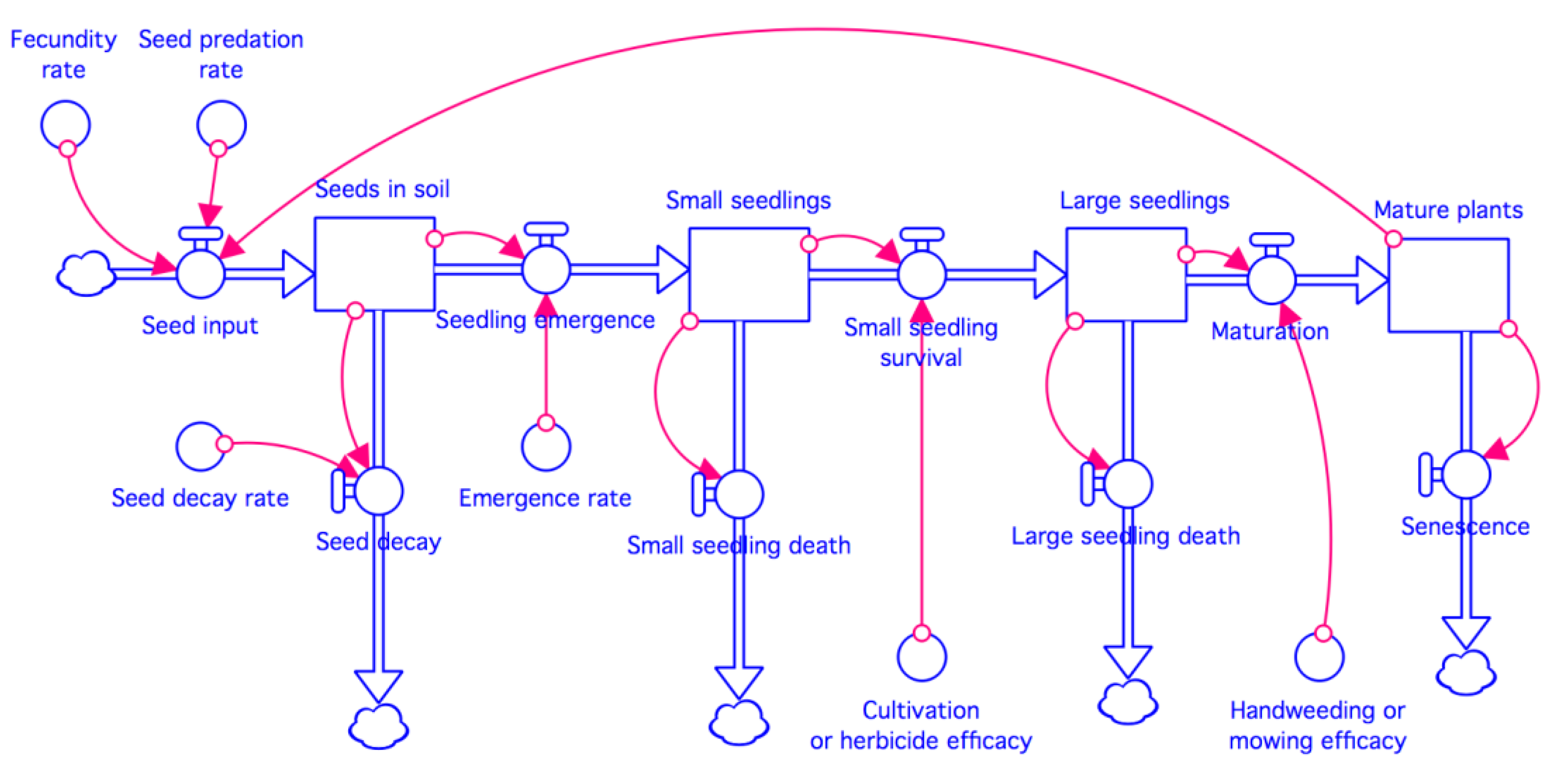 Agronomy 10 00262 g002