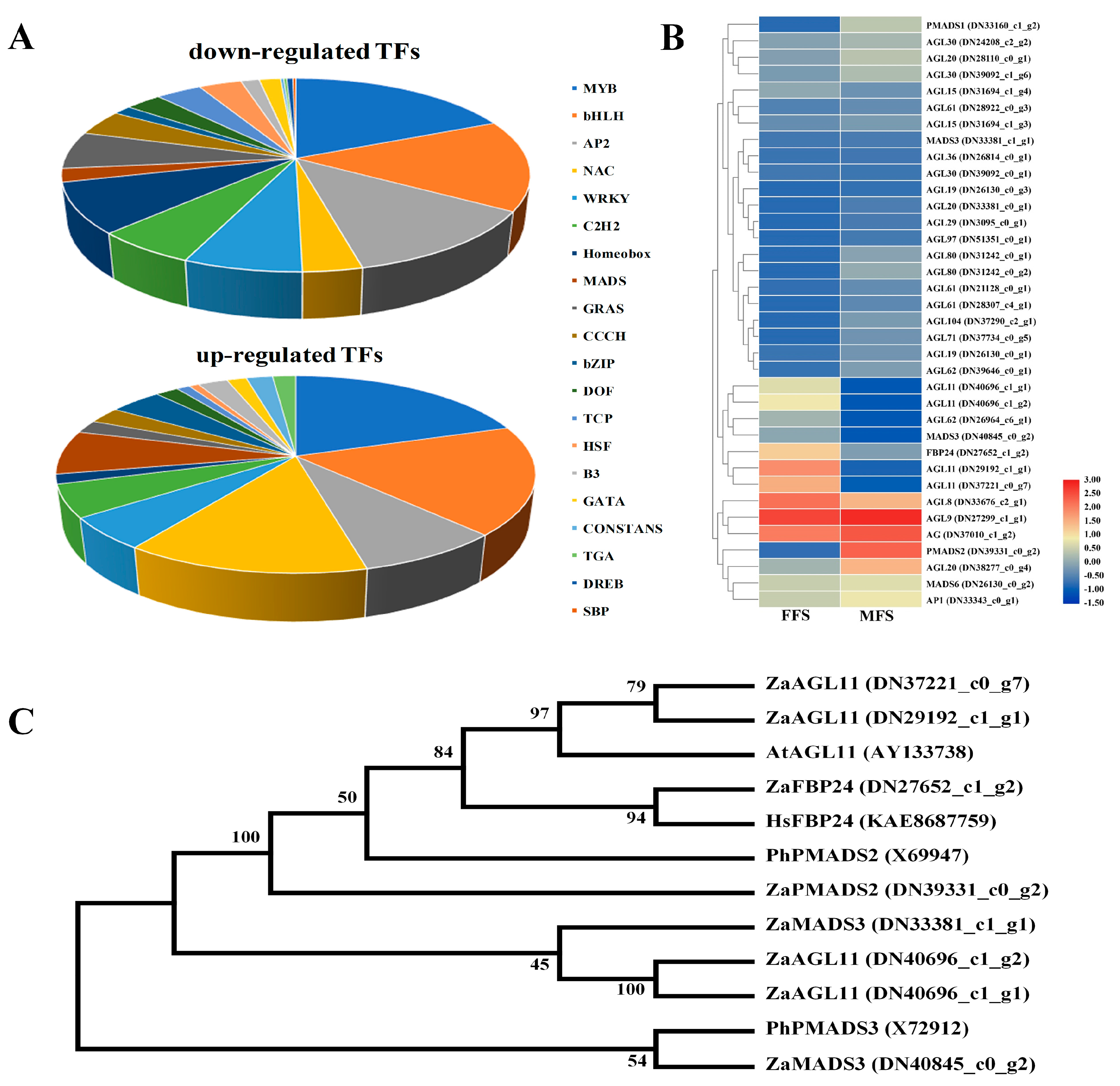 Agronomy 10 00283 g006
