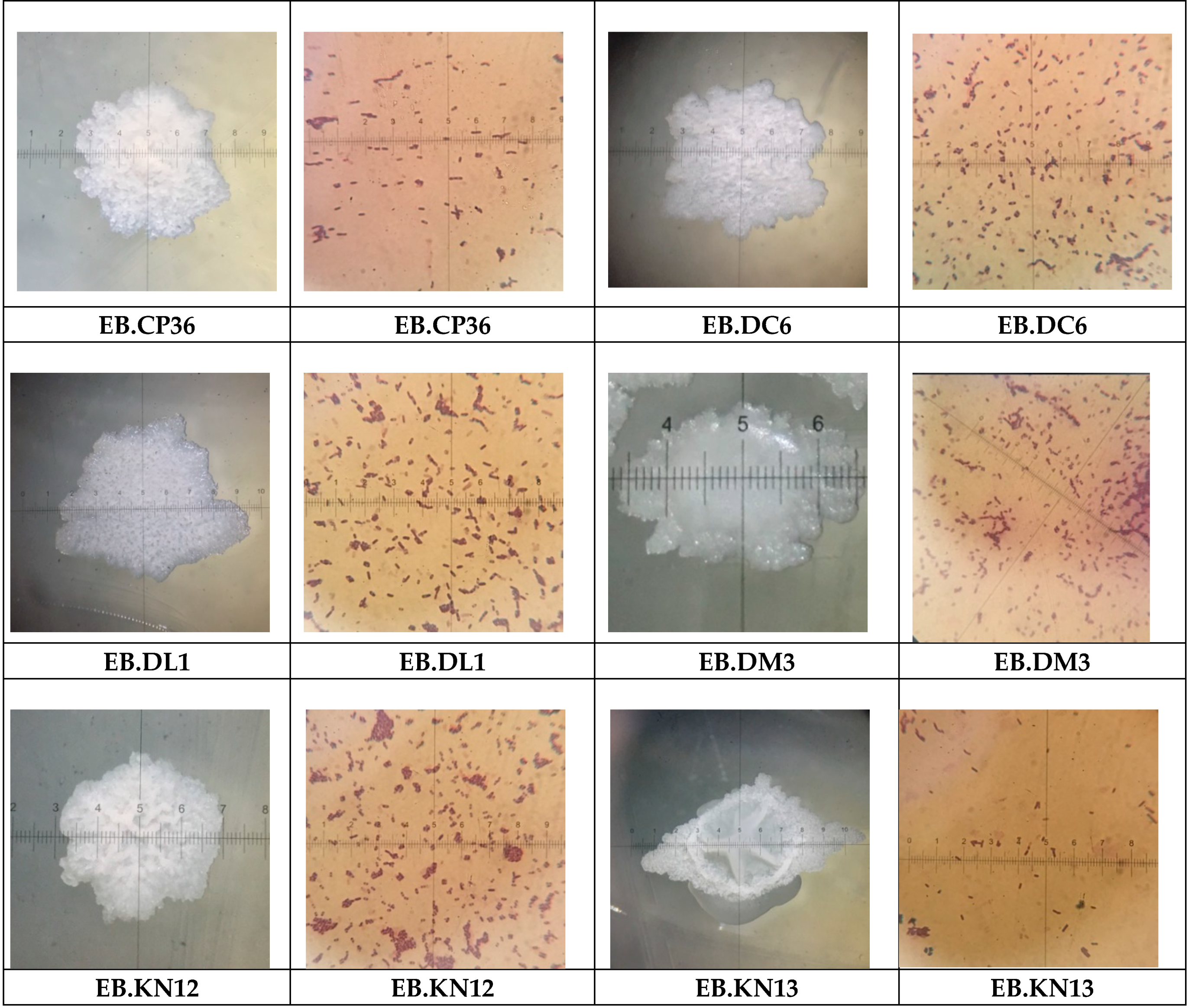 Agronomy 10 00286 g004