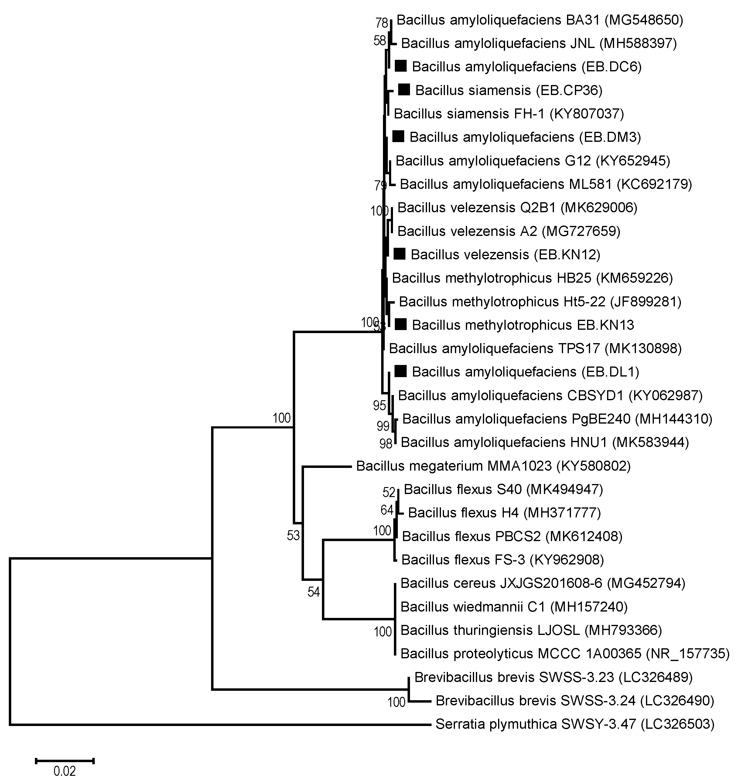 Agronomy 10 00286 g005