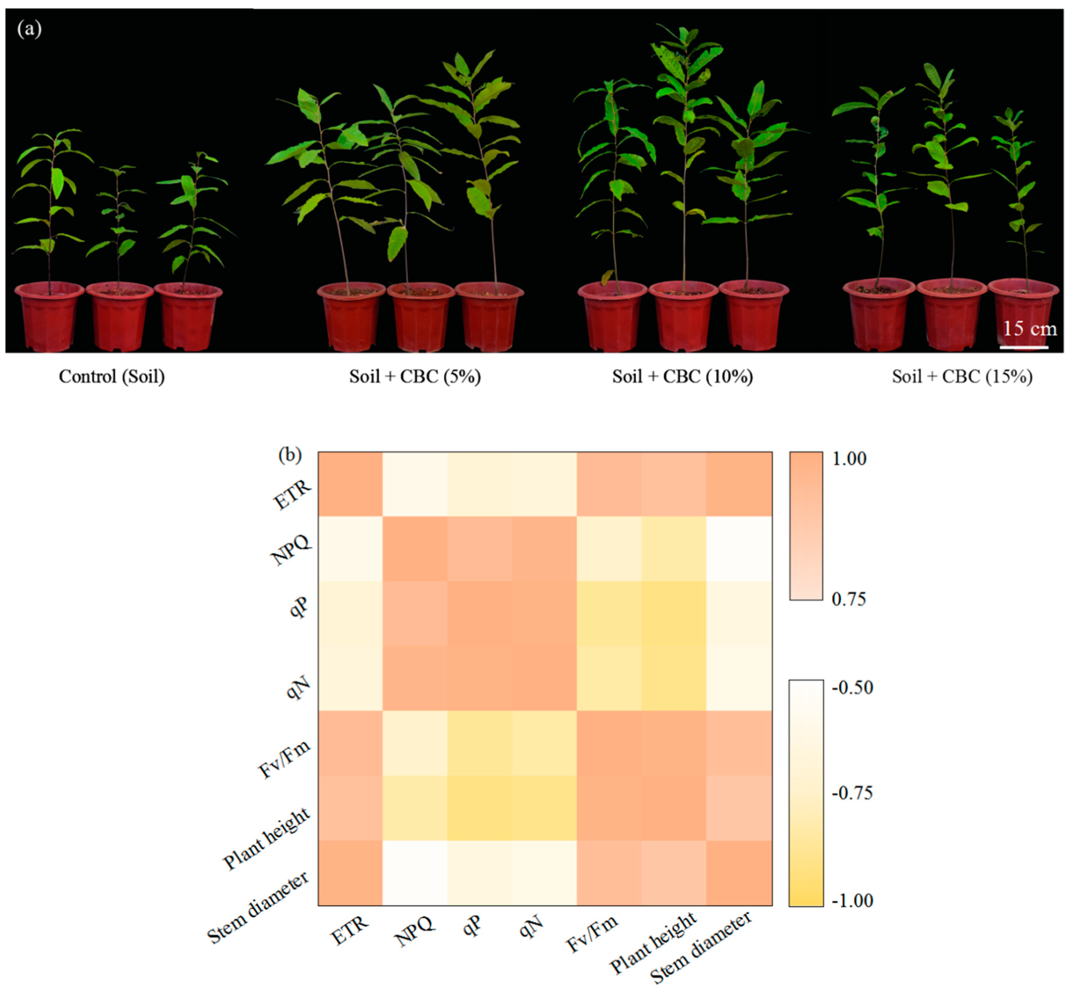 Agronomy 10 00288 g006 Agronomy 10 00288 g006