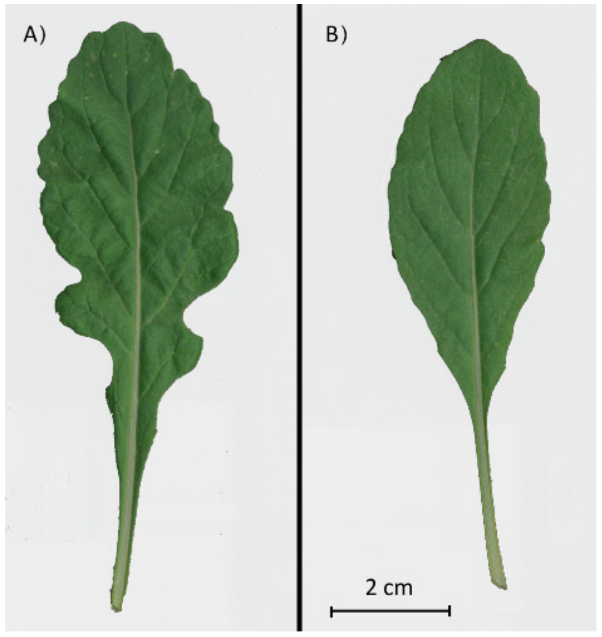 Agronomy 10 00306 g002 Agronomy 10 00306 g002