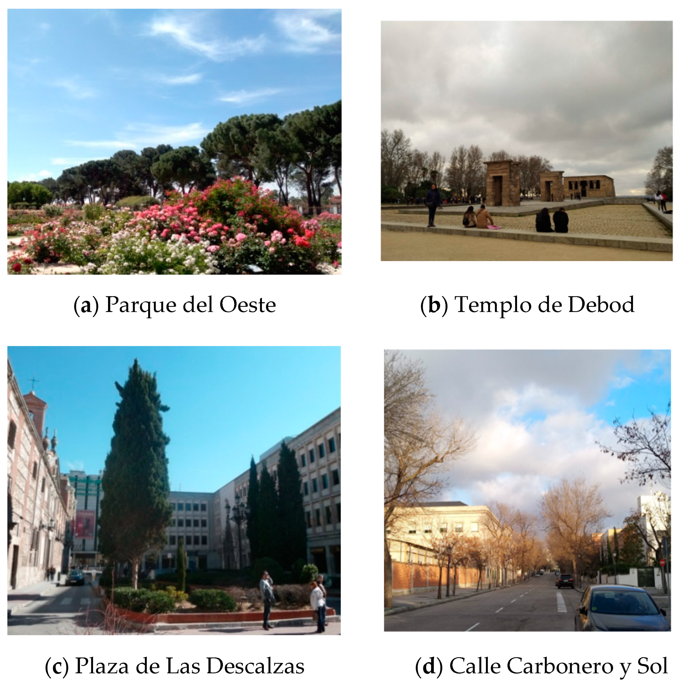 Agronomy 10 00311 g002