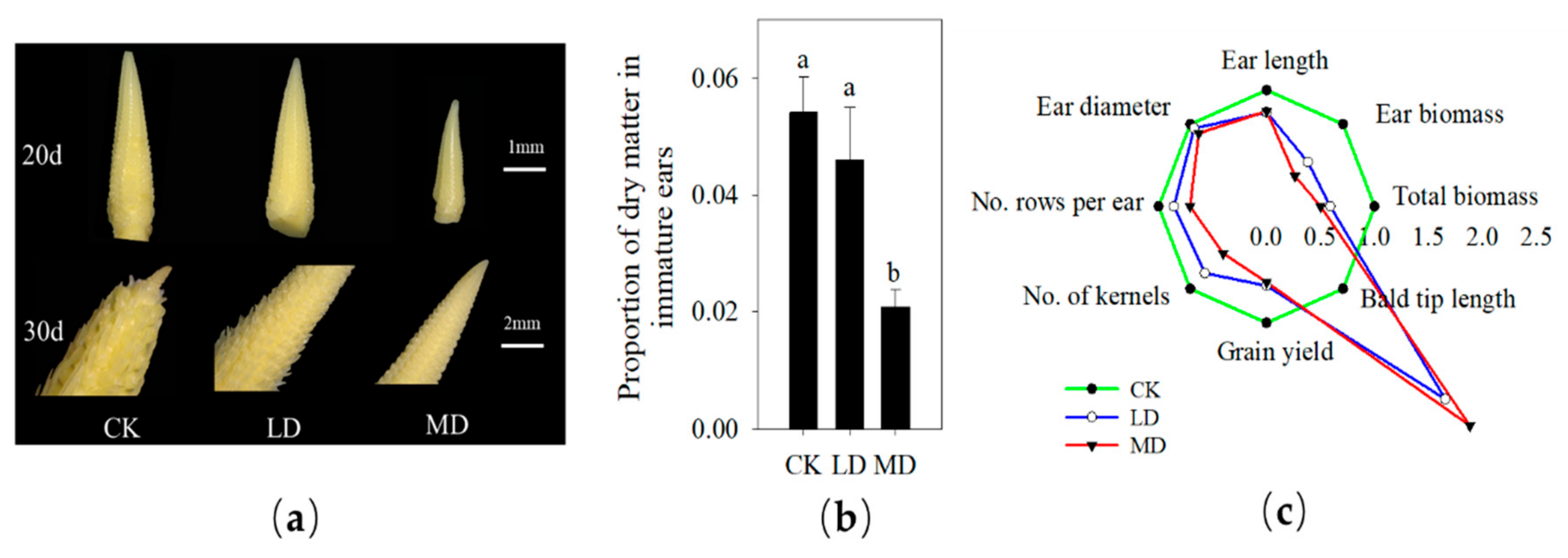 Agronomy 10 00313 g002