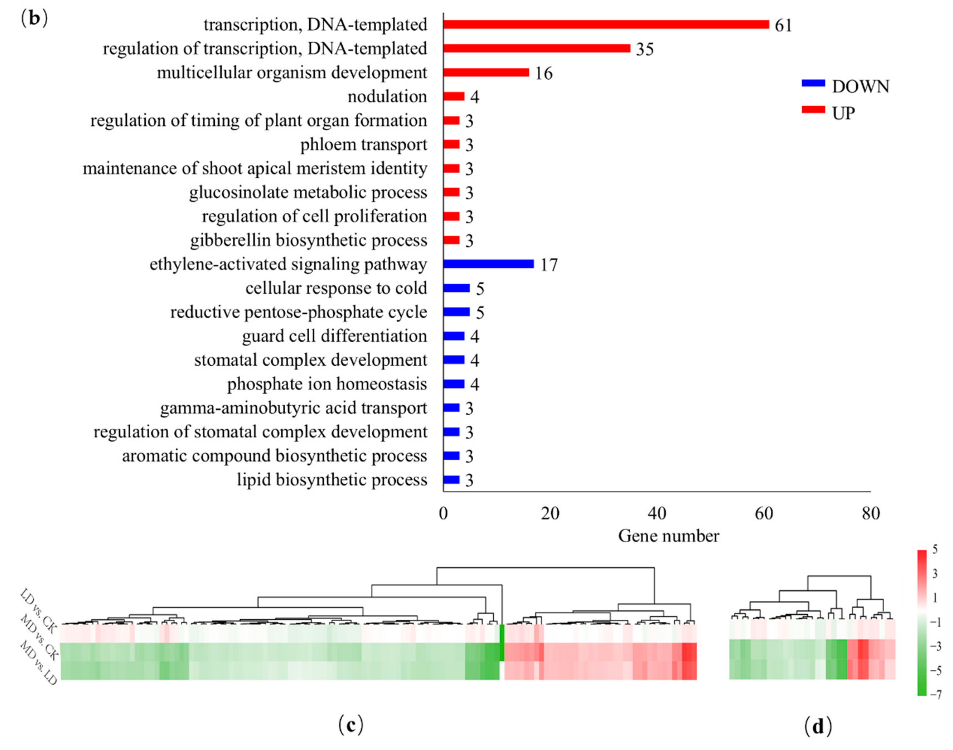 Agronomy 10 00313 g005b