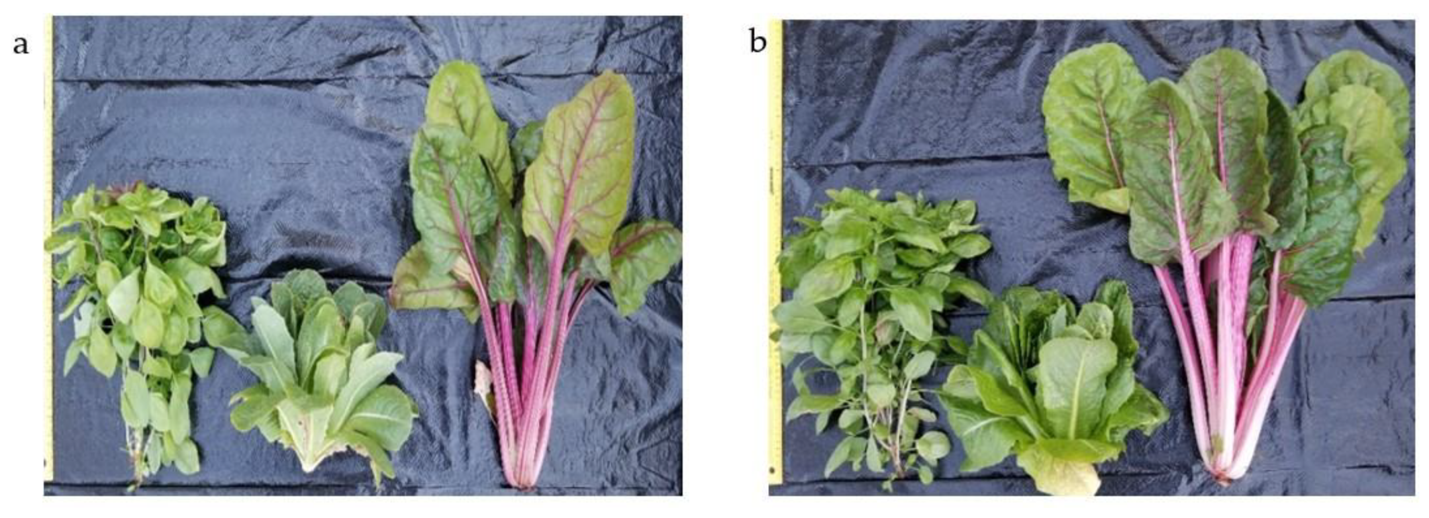 Agronomy 10 00323 g002 Agronomy 10 00323 g002