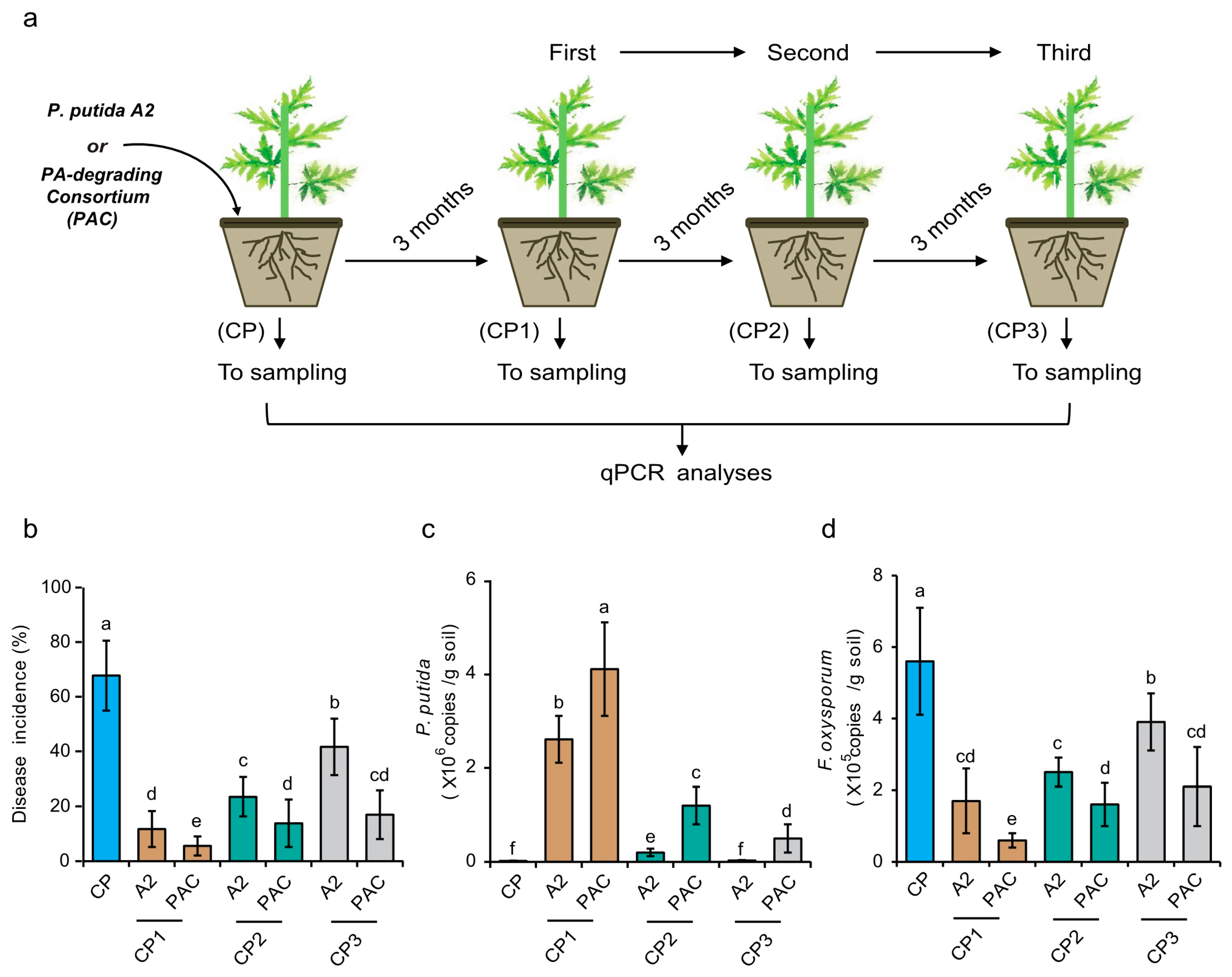 Agronomy 10 00385 g008